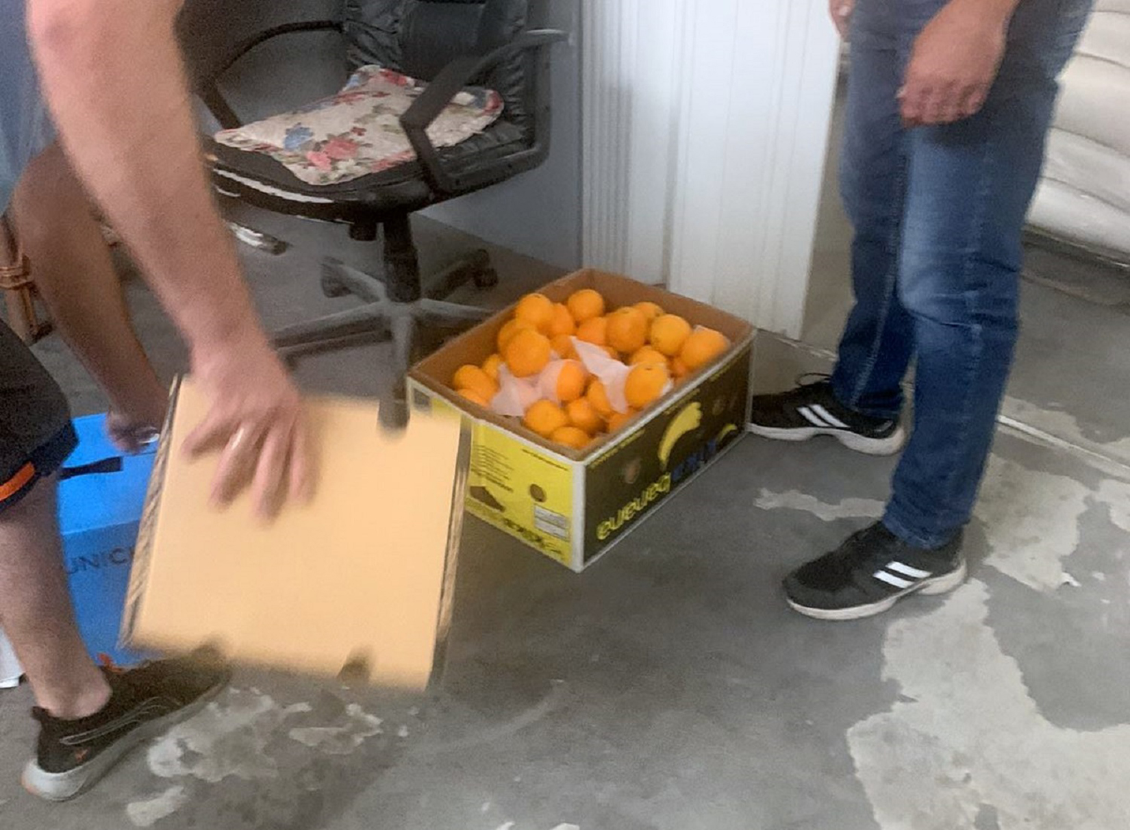 Sveže pomorandže, šverc, voće, carina Foto: Uprava carina