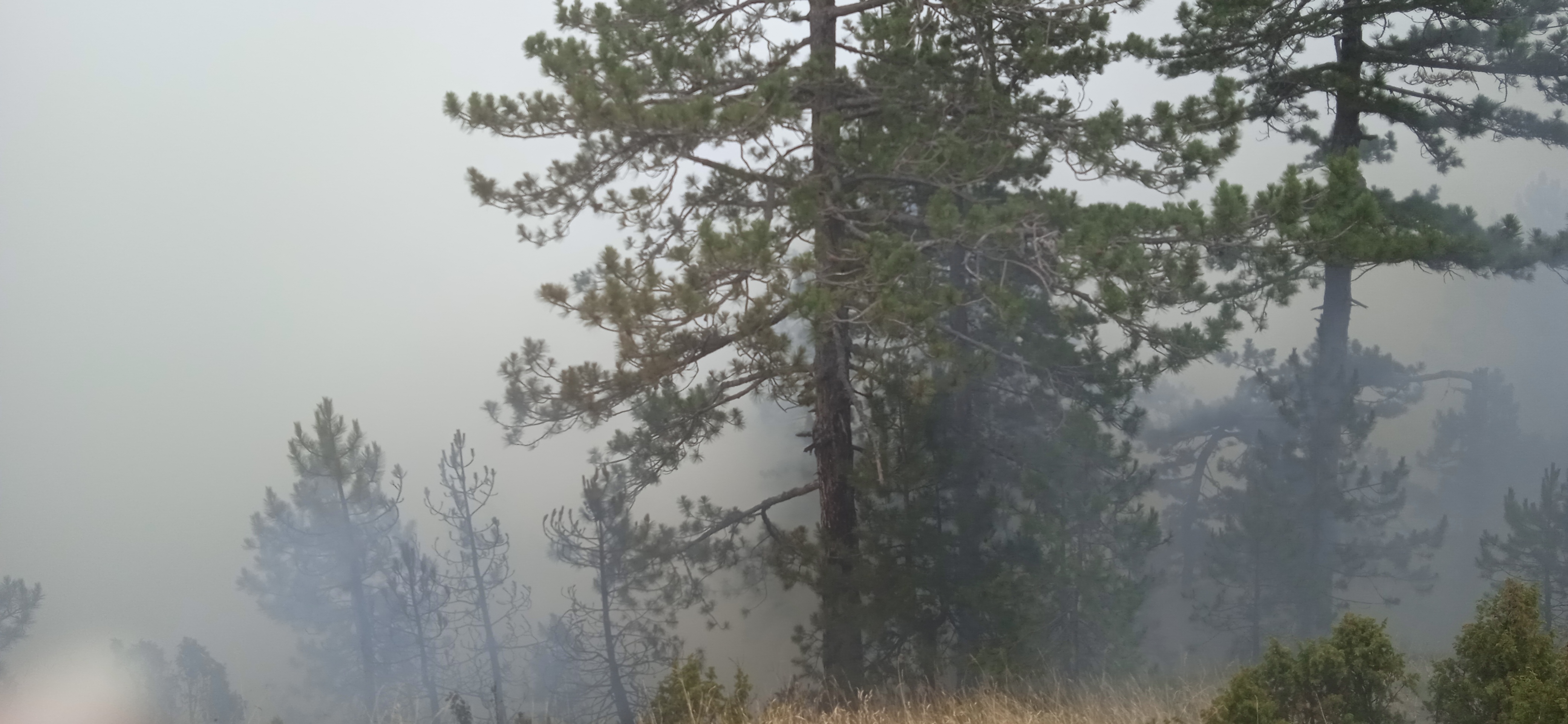 Zlatibor pozar