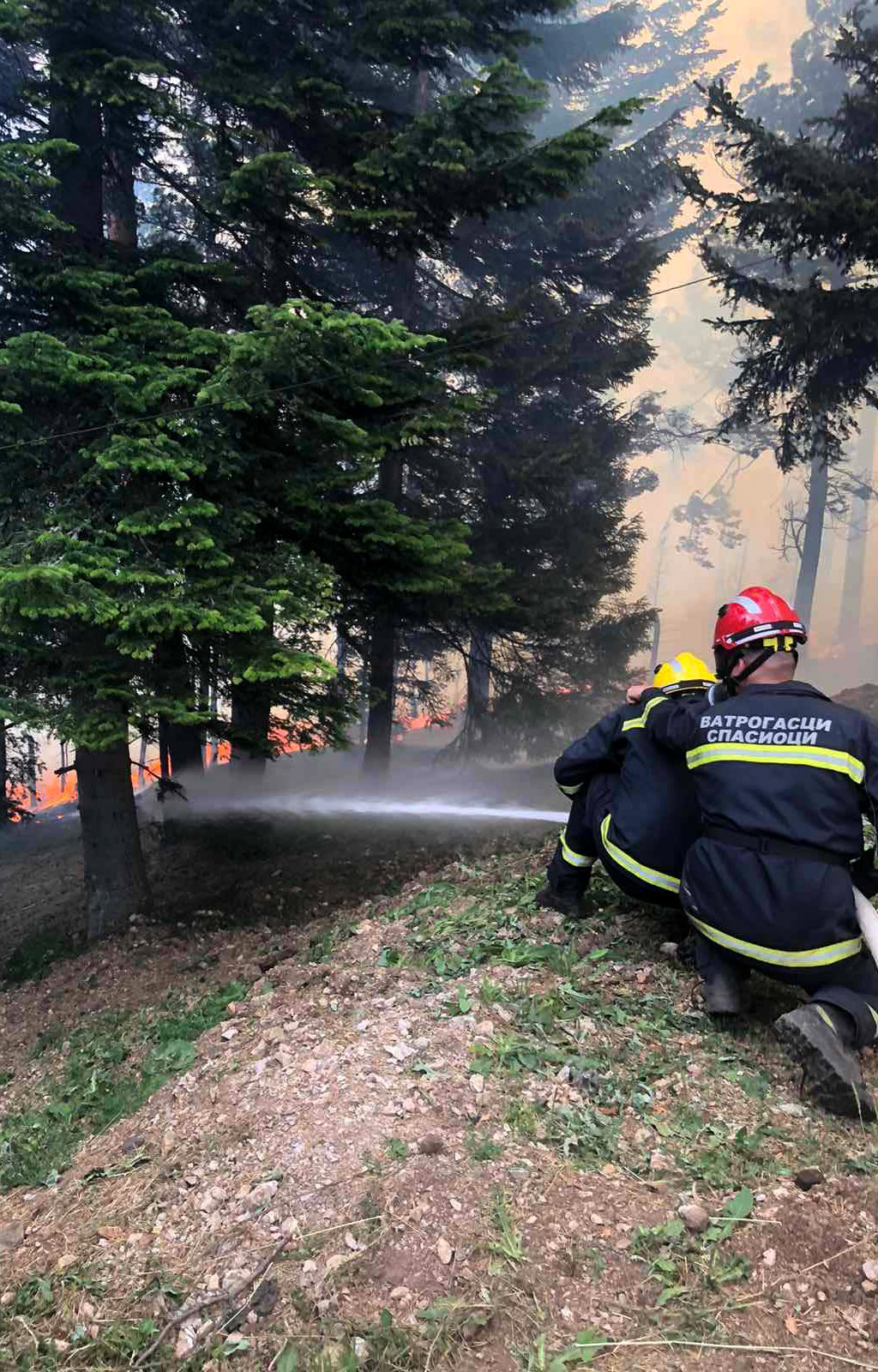 Zlatibor, Tara, požar, šumski požar, vatrogasci, gašenje požara Foto: MUP