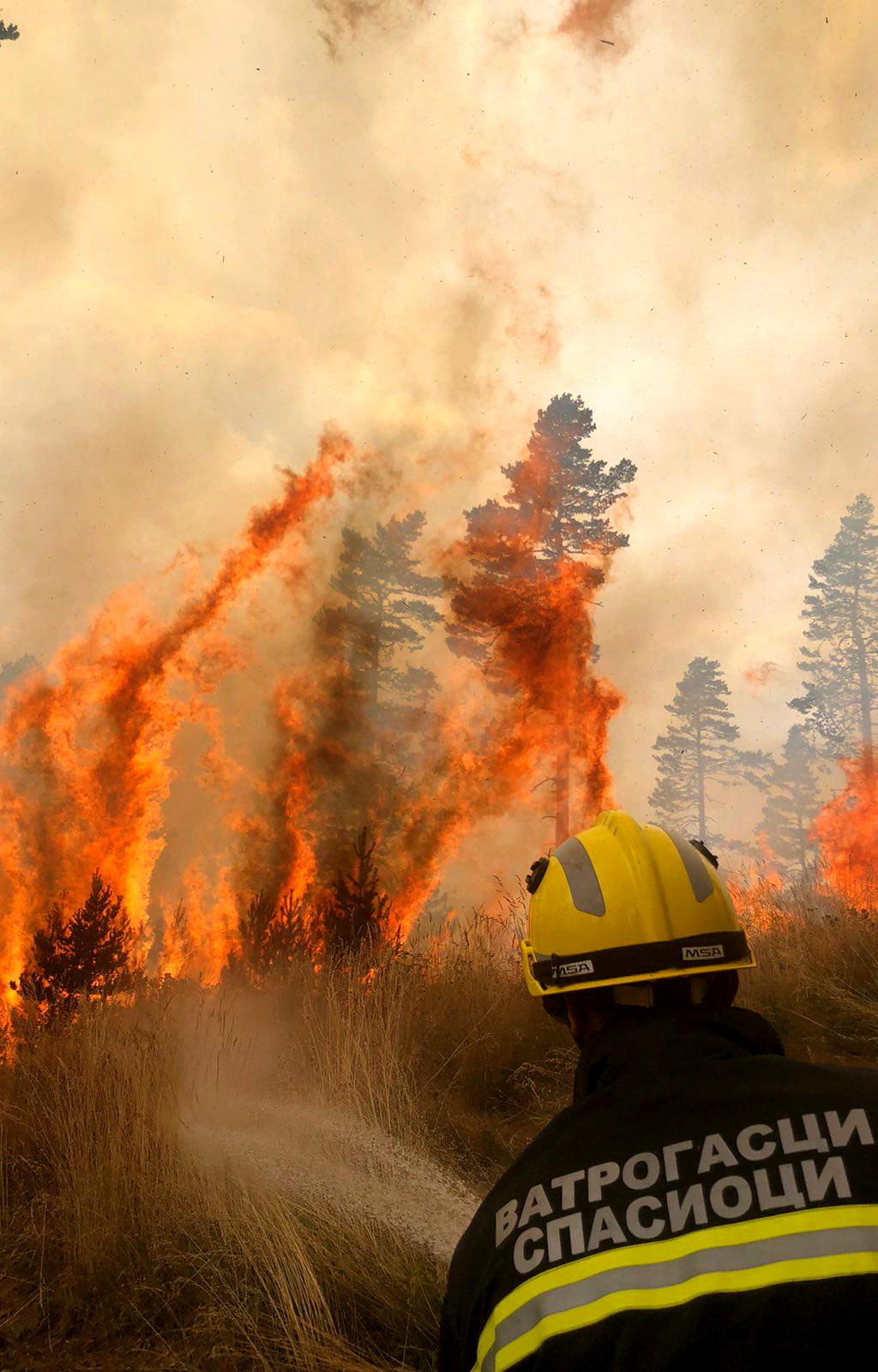 Zlatibor, Tara, požar, šumski požar, vatrogasci, gašenje požara Foto: MUP
