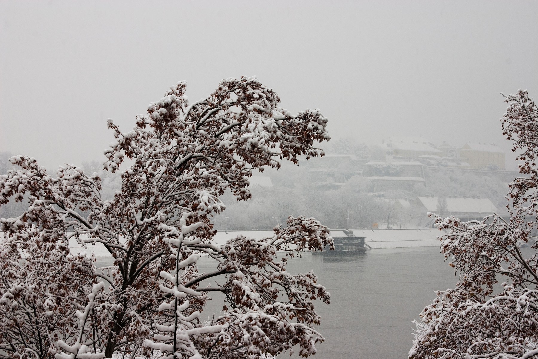 Image: 357320710, License: Royalty-free, Restrictions: , Model Release: no, Credit line: GreenPear / Alamy / Alamy / Profimedia