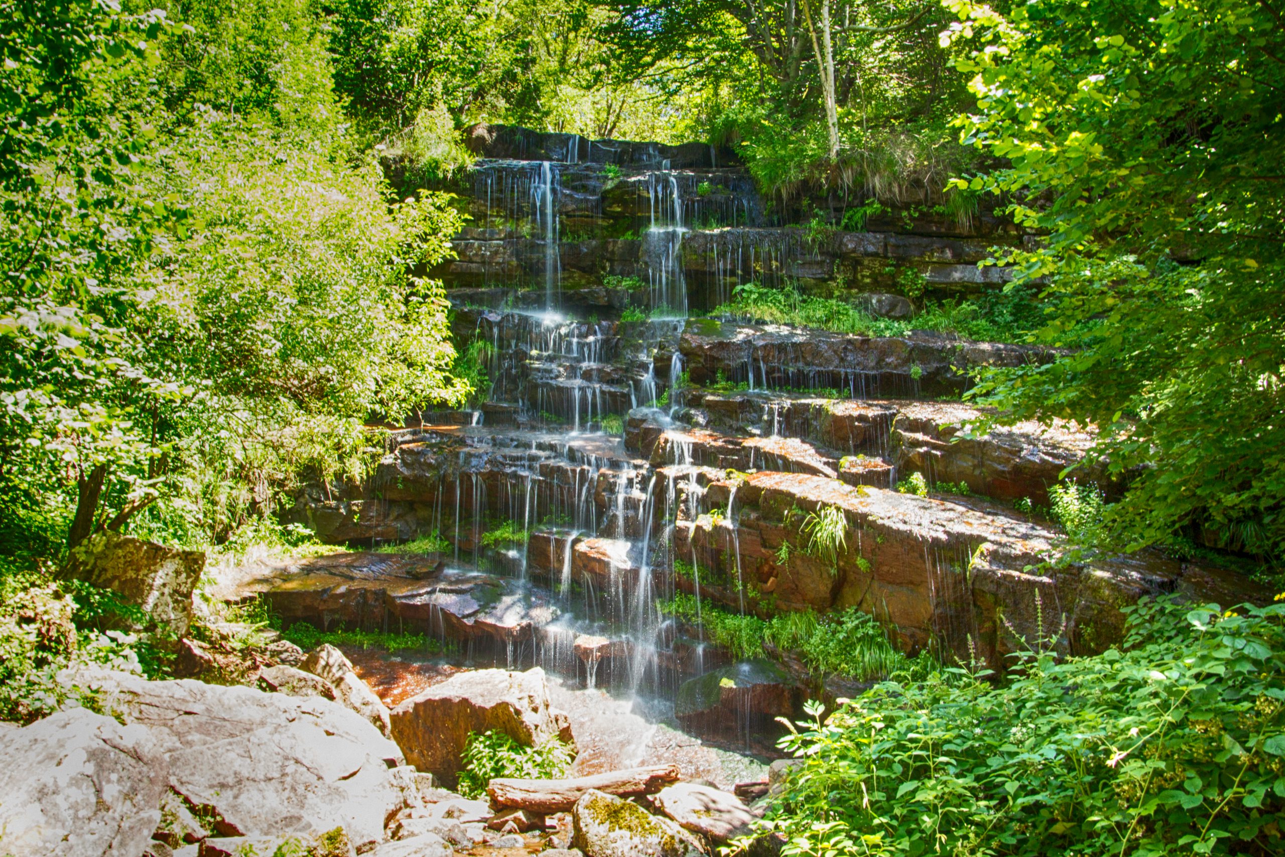 Stara planina, Tupavica