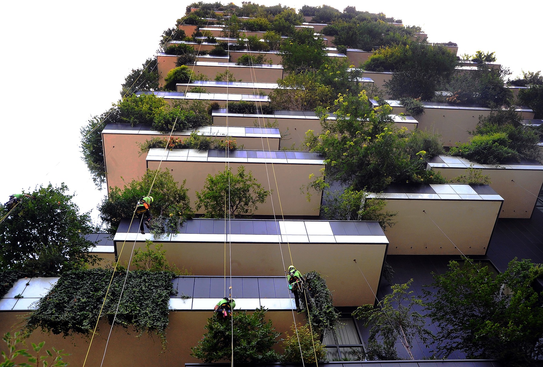Italy, Milan: Spider gardeners at work on hanging gardens of the Bosco Verticale, or Vertical Forest, two skyscrapers as residential apartments by Boeri Studio