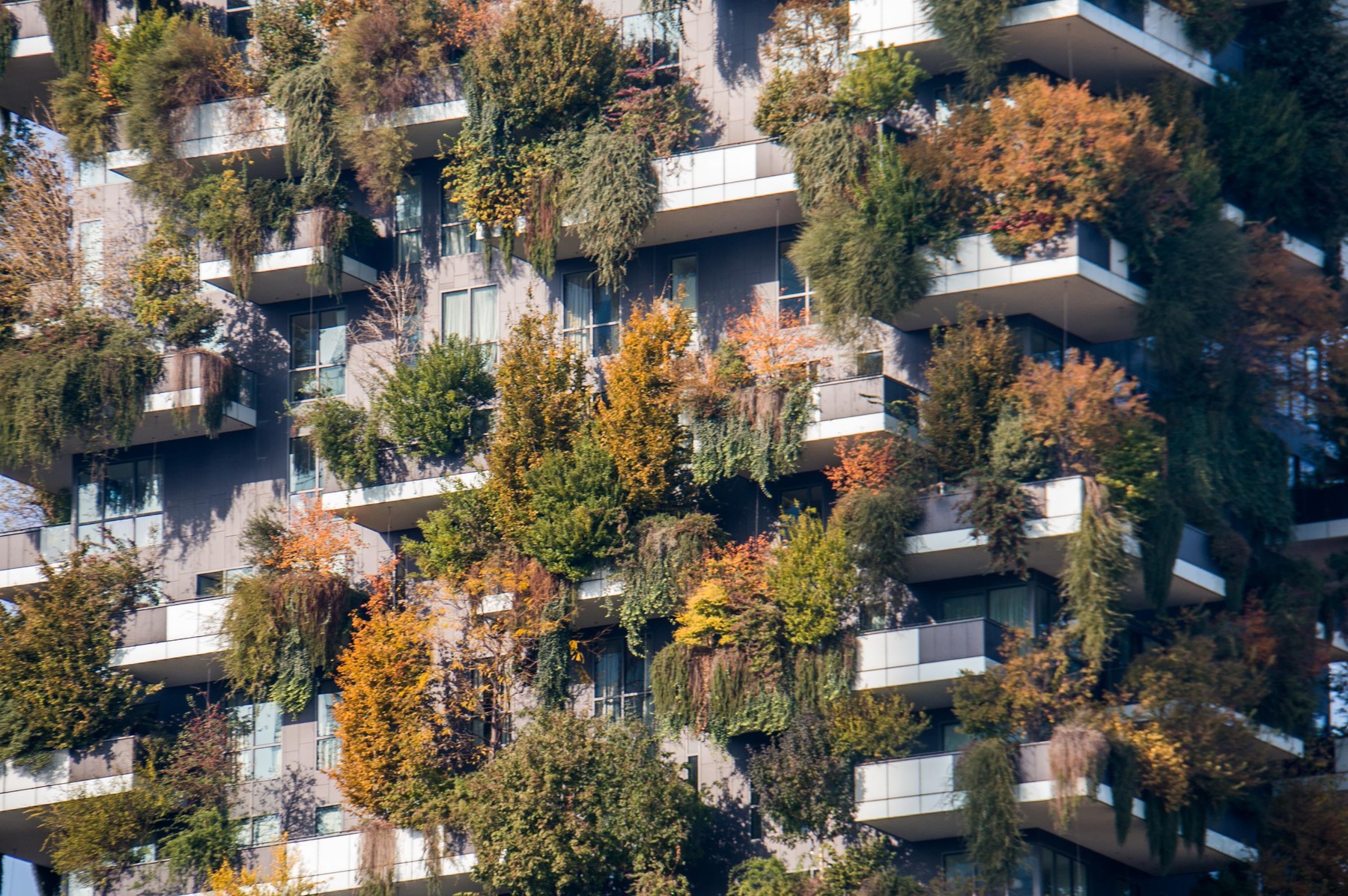 Italy, Milan: Autumn view of the eco friendly skyscraper called Bosco Verticale (vertical forest) by Italian architect Stefano Boeri
