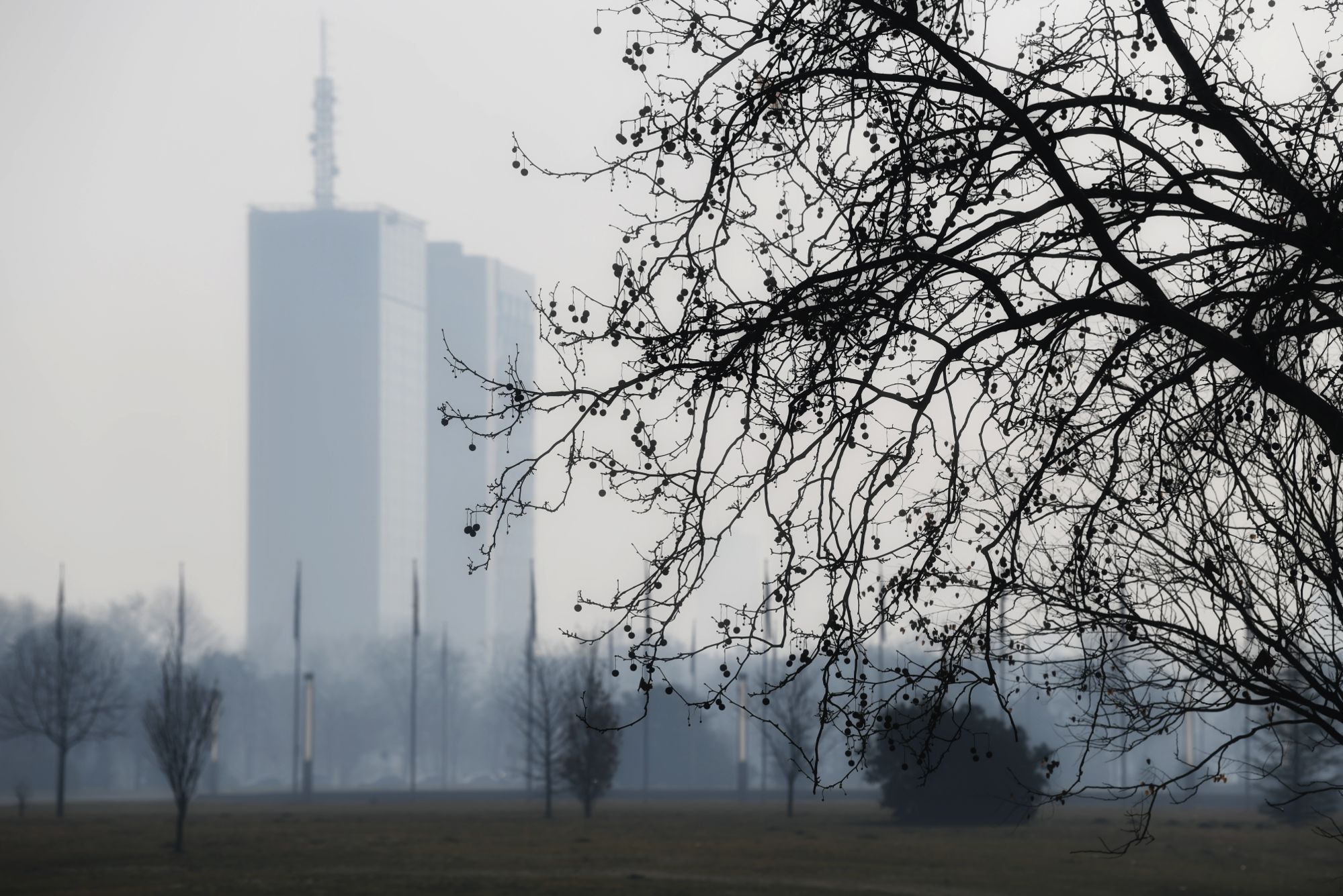 Beograd, 25.02.2021. Jutro, Izmaglica, grad, jutro u Beogradu, vreme, Ušće,zagađenje  Foto: Goran Srdanov/Nova.rs