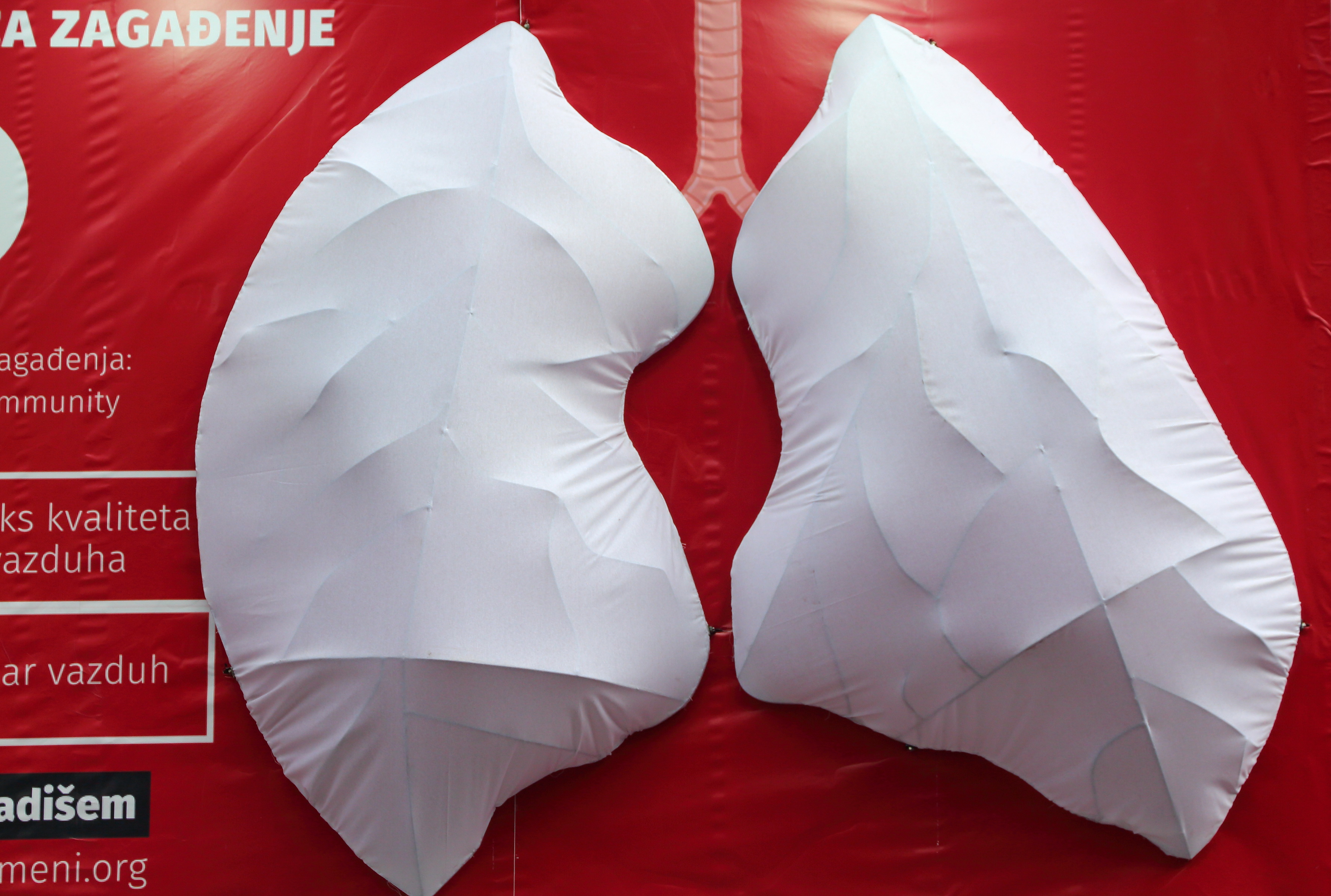 Tim "Kreni - Promeni" je postavio velika pamučna pluća u centru Beograda
kod Doma omladine