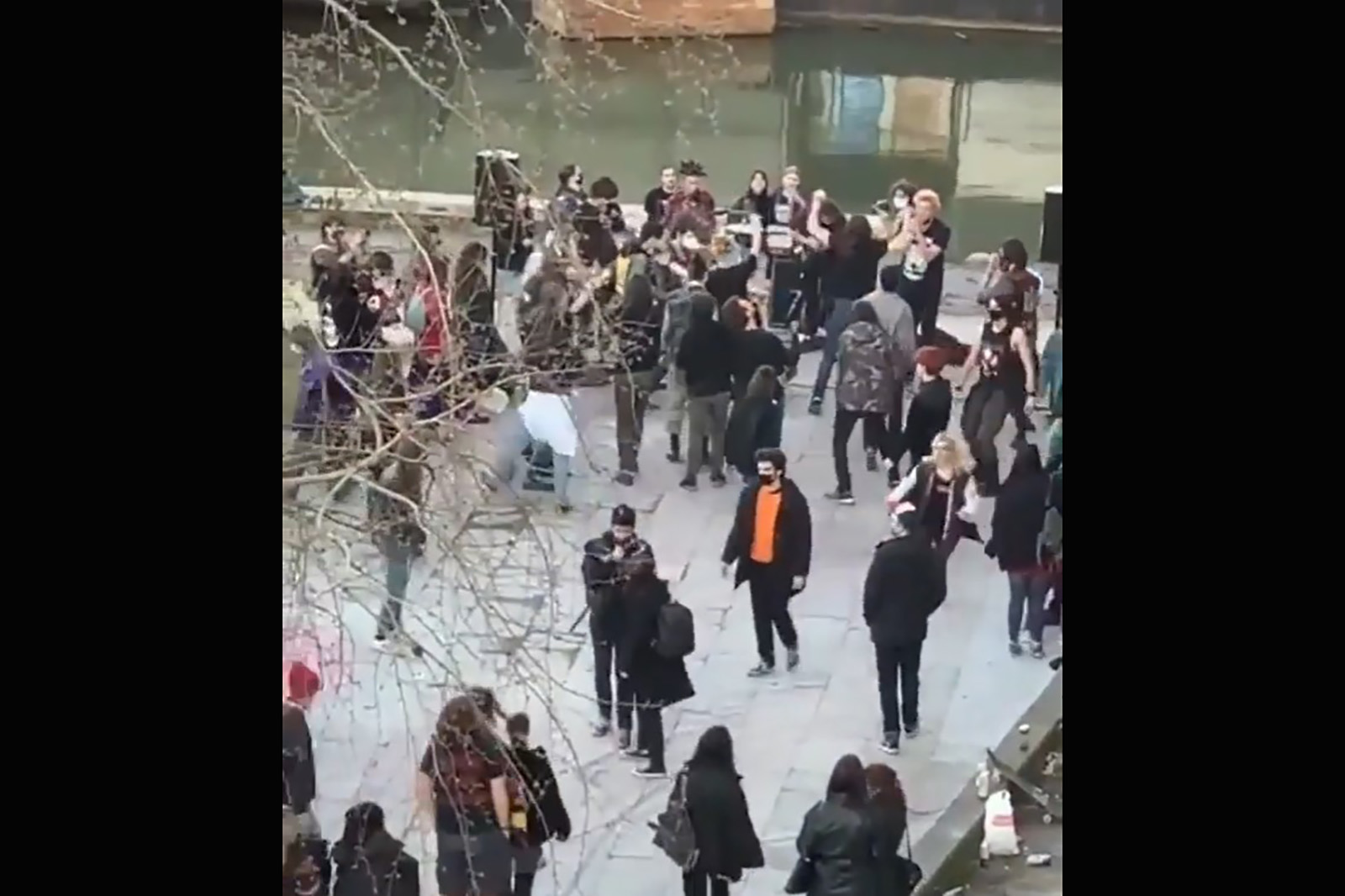 Brankov most, žurka ispod mosta