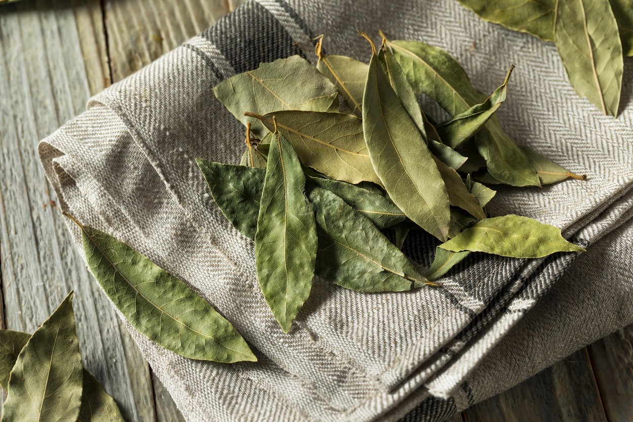 Image: 362209821, License: Royalty-free, Restrictions: , Model Release: no, Credit line: Brent Hofacker / Alamy / Alamy / Profimedia