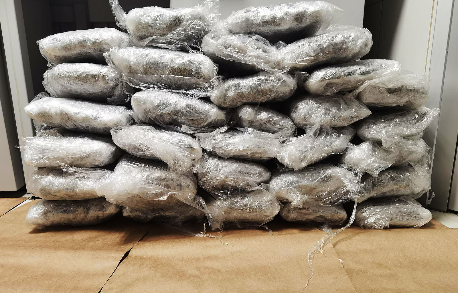 PRONADJENA MARIHUANA zaplena marihuana