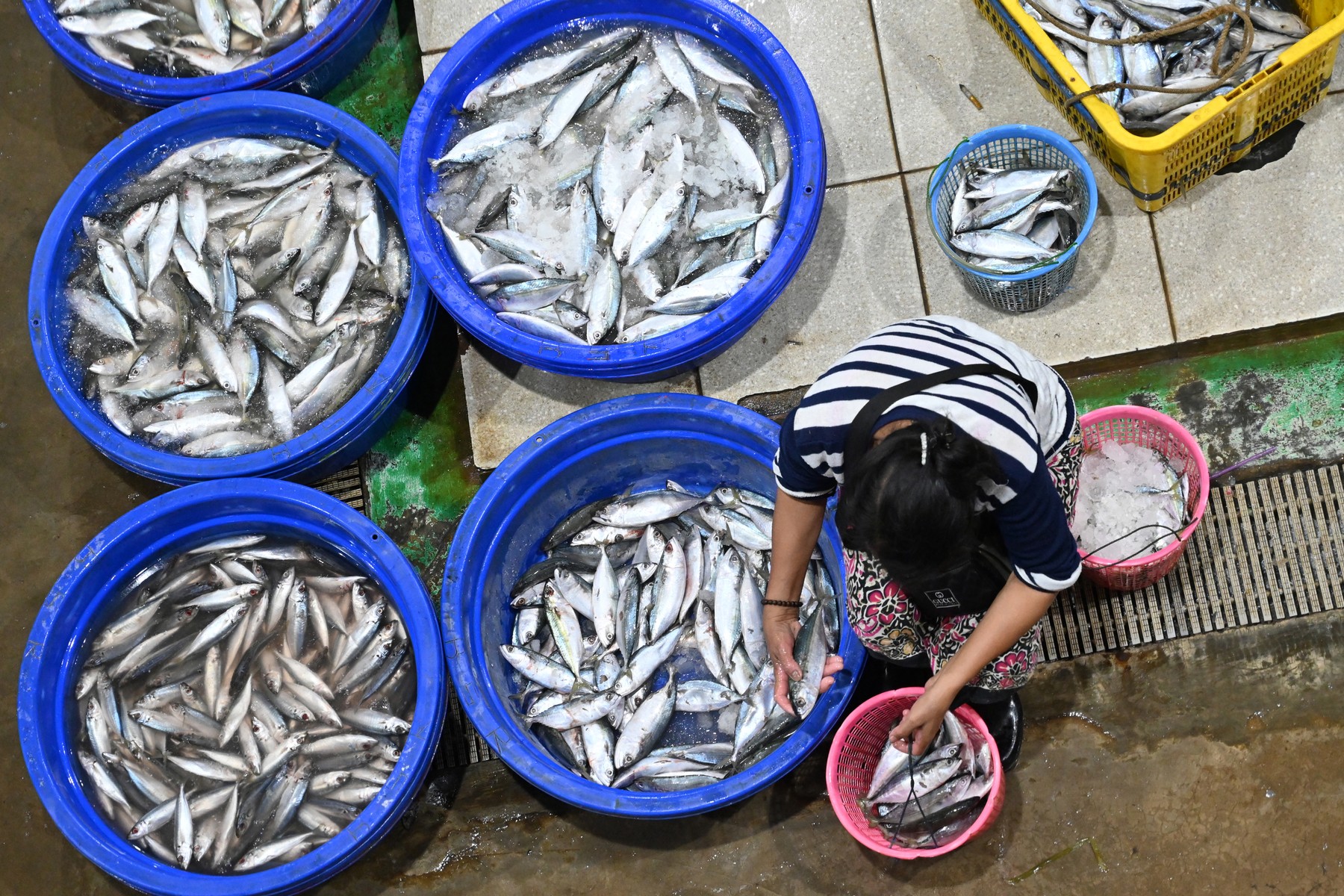 A woman works at the Pasar Ikan Modern Mural Baru market in Jakarta on September 27, 2021.,Image: 634670061, License: Rights-managed, Restrictions: , Model Release: no, Credit line: ADEK BERRY / AFP / Profimedia
