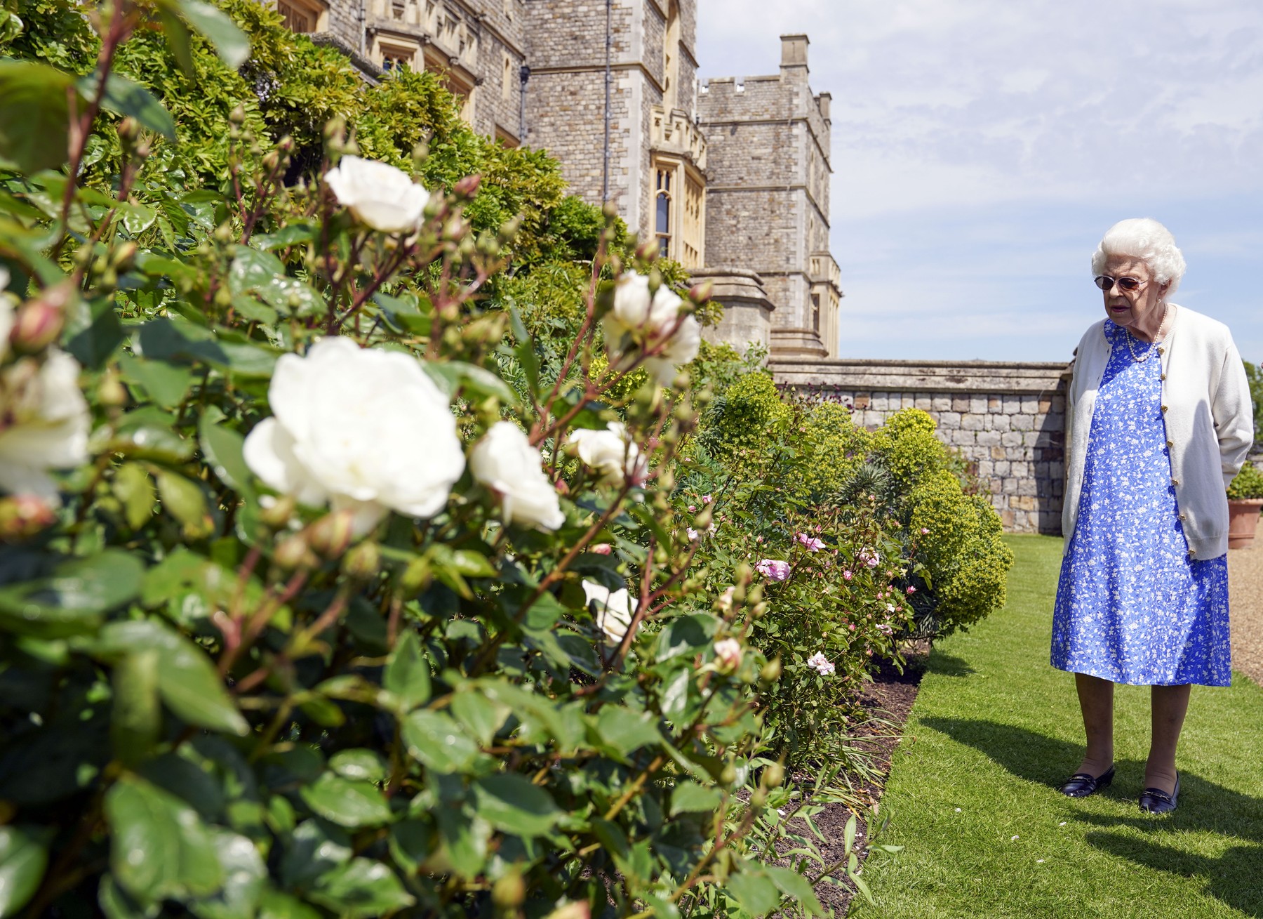 Queen Elizabeth II plants Duke of Edinburgh rose
