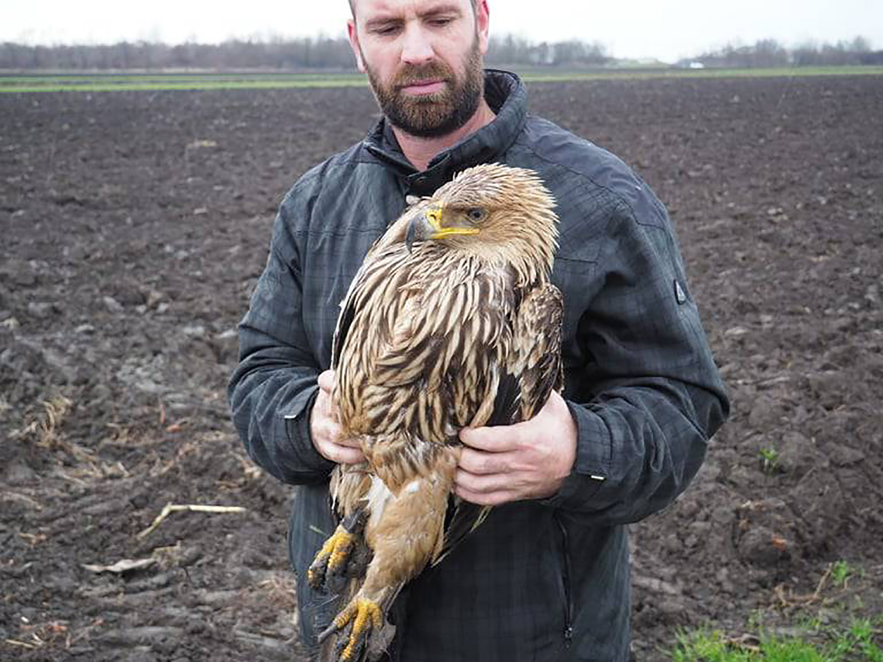 MLADI ORAO KRSTAS UGINUO OD TROVANJA OLOVOM