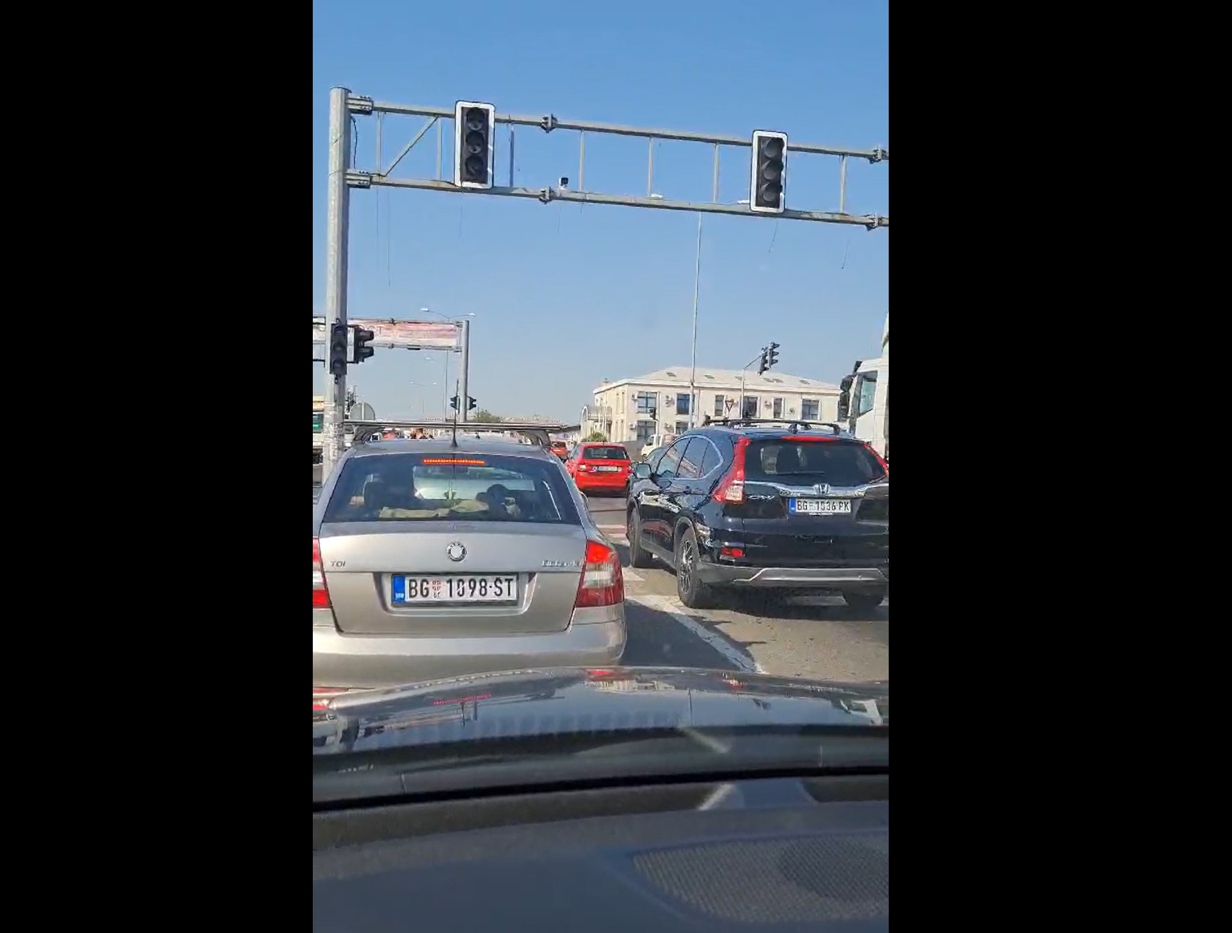 gužva