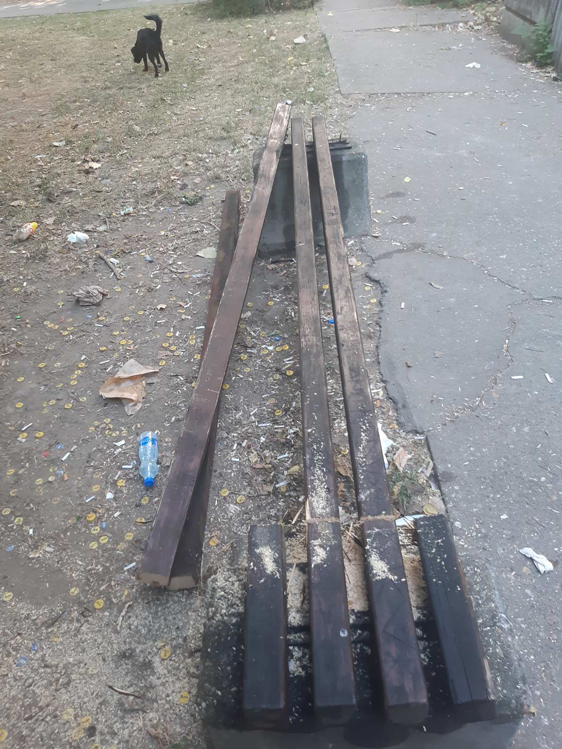 Motornom testerom isekli klupu jer im smeta buka, klupa