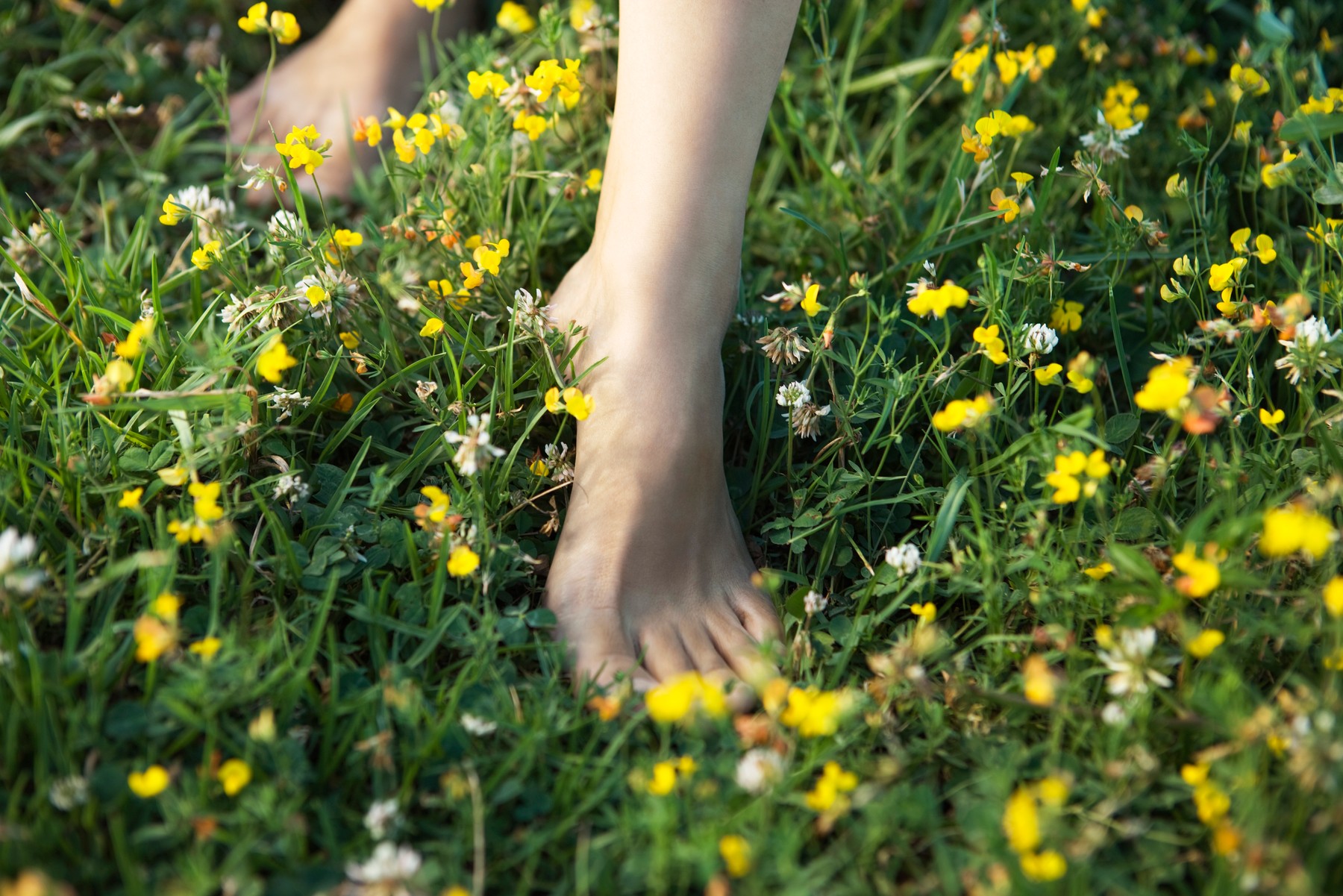 Woman walking barefoot in field of wildflowers, cropped,Image: 295140639, License: Royalty-free, Restrictions: , Model Release: yes, Credit line: - / PhotoAlto / Profimedia
