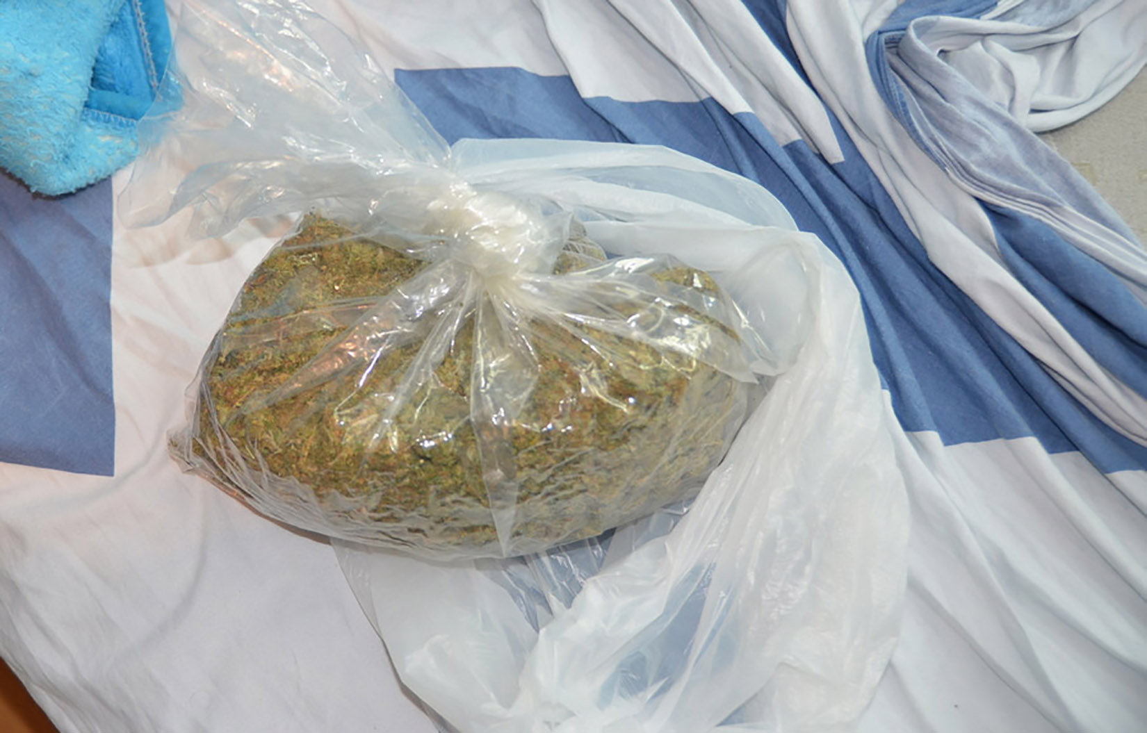 Marihuna, zaplena, droga, kanabis Foto: MUP