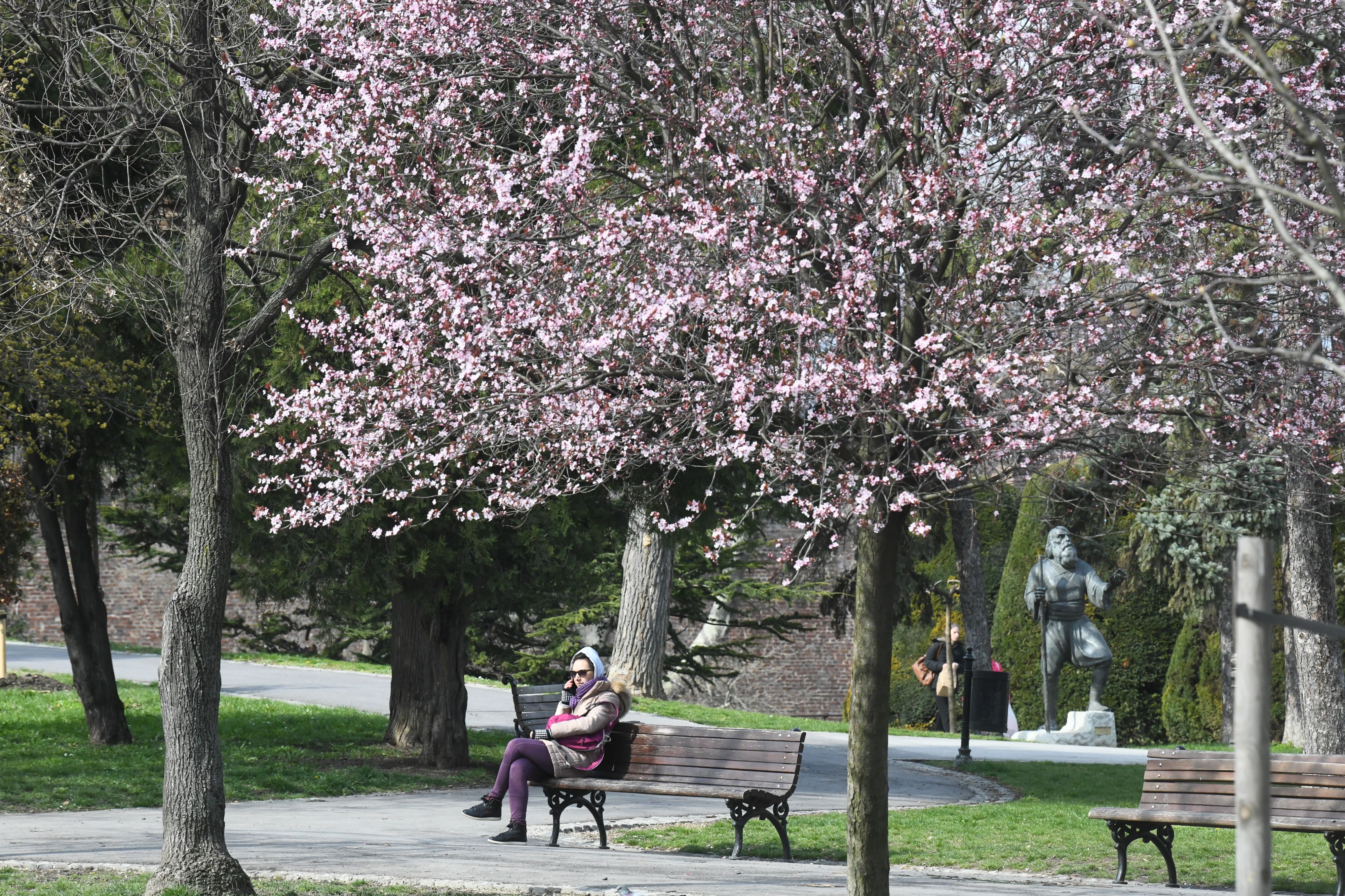 Beograd 20.03.2021. Proleće, lepo vreme, Kalemegdan, lepo vreme, vikend, koronavirus Foto: Filip Krainčanić/Nova.rs