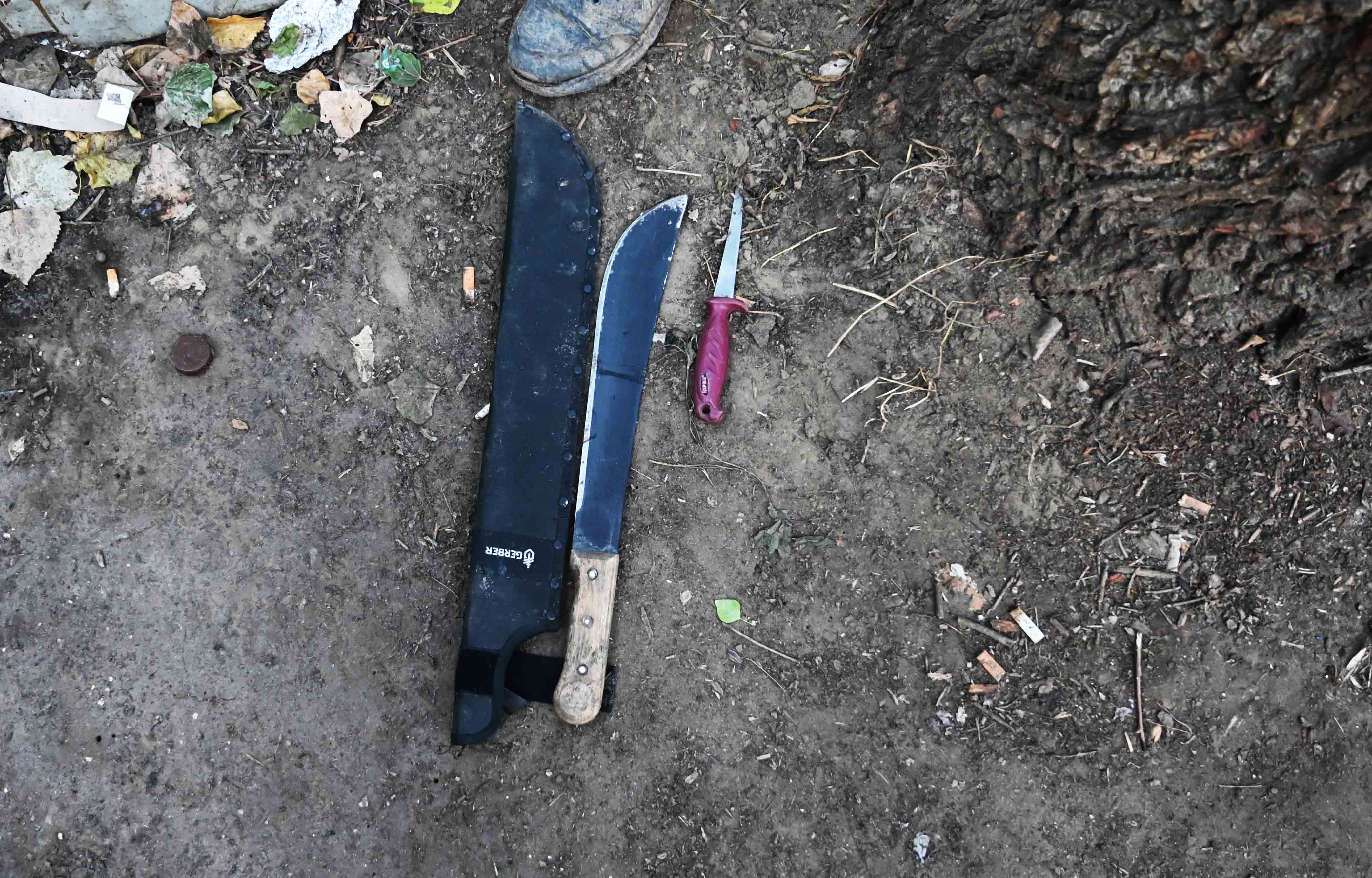 Srpski Krstur, opština Novi Kneževac, akcija Plaža, otkrivanje, hapšenje iregularnih migranata, migranti, izbeglice, policija, žandarmerija Foto: MUP