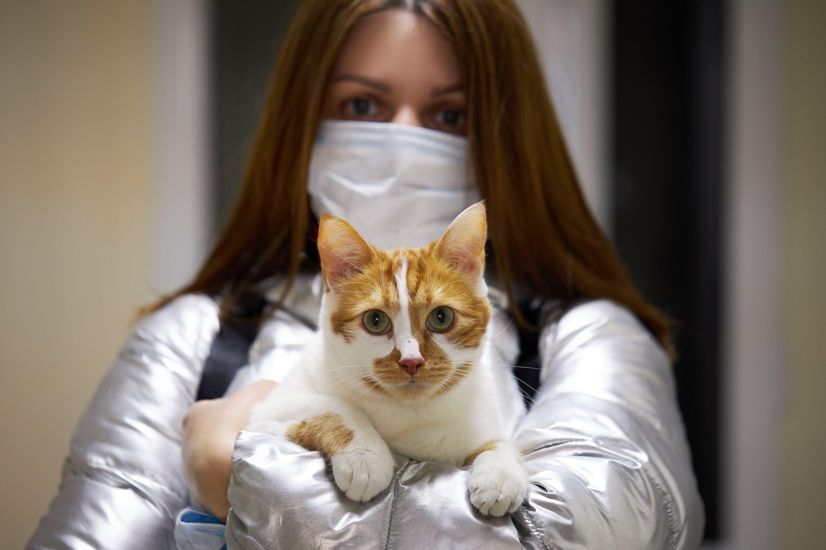 Image: 507885627, License: Royalty-free, Restrictions: , Model Release: yes, Credit line: Elena Shcherban / Alamy / Alamy / Profimedia