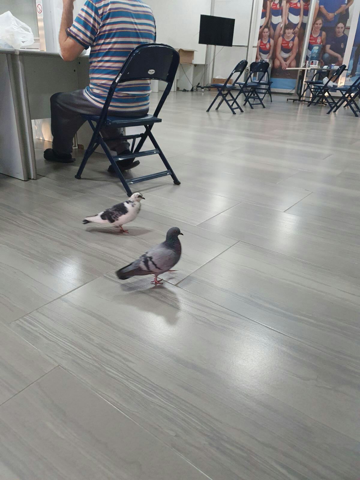 Arena, kovid bolnica, prosledila Ivana Stojanov