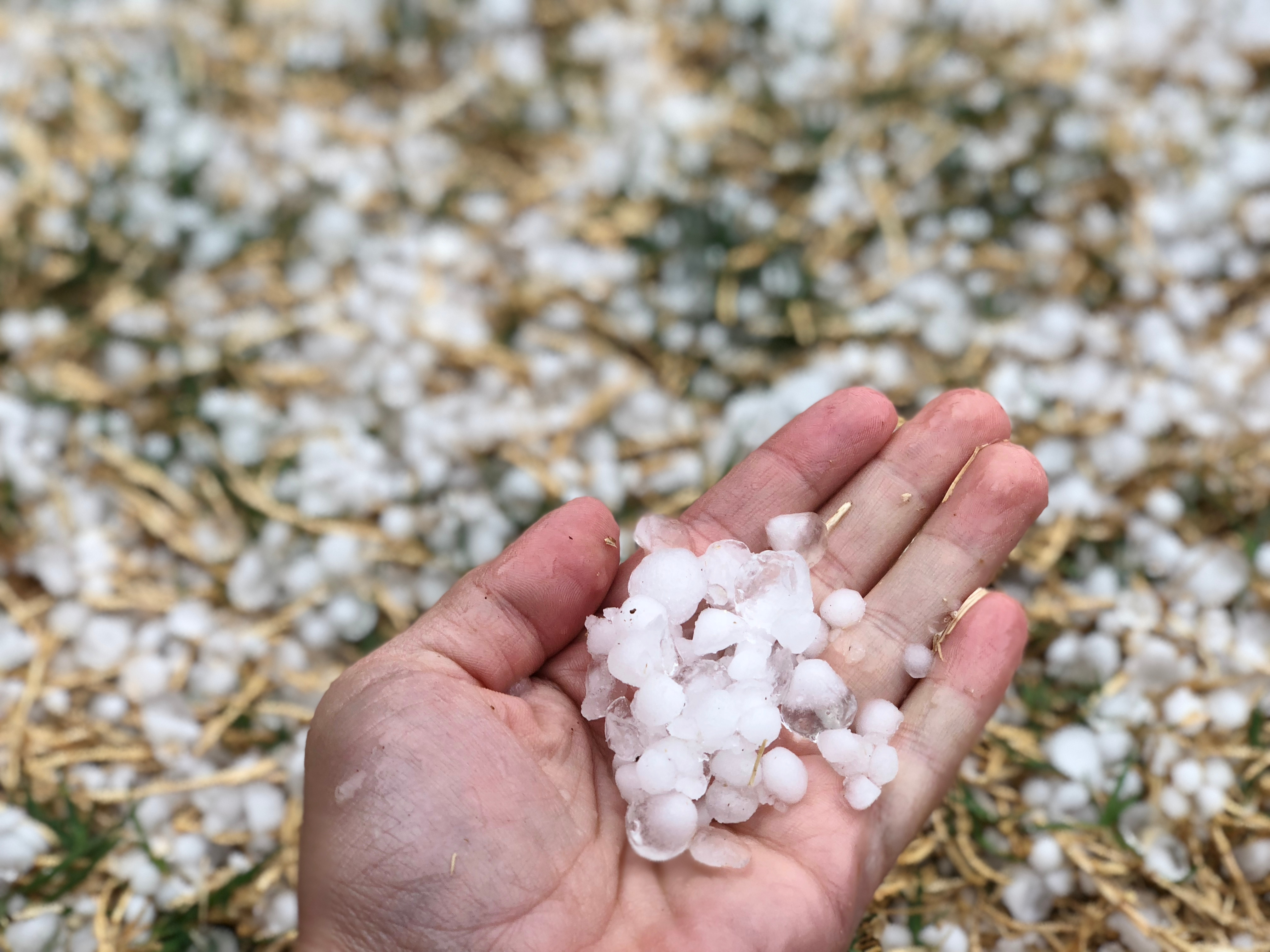 Hail,From,A,Thunderstorm