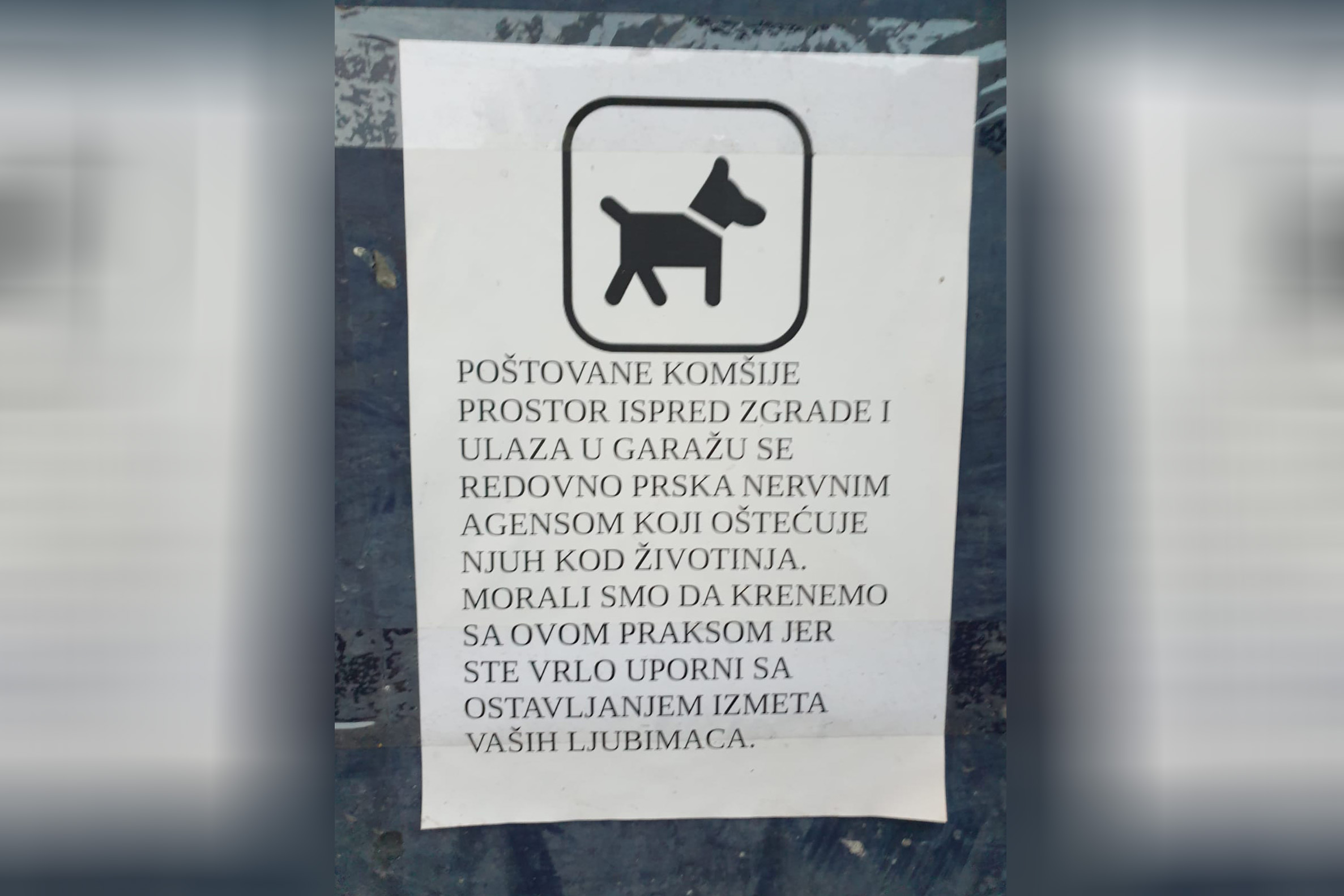 viber_image_2021-03-25_18-05-26