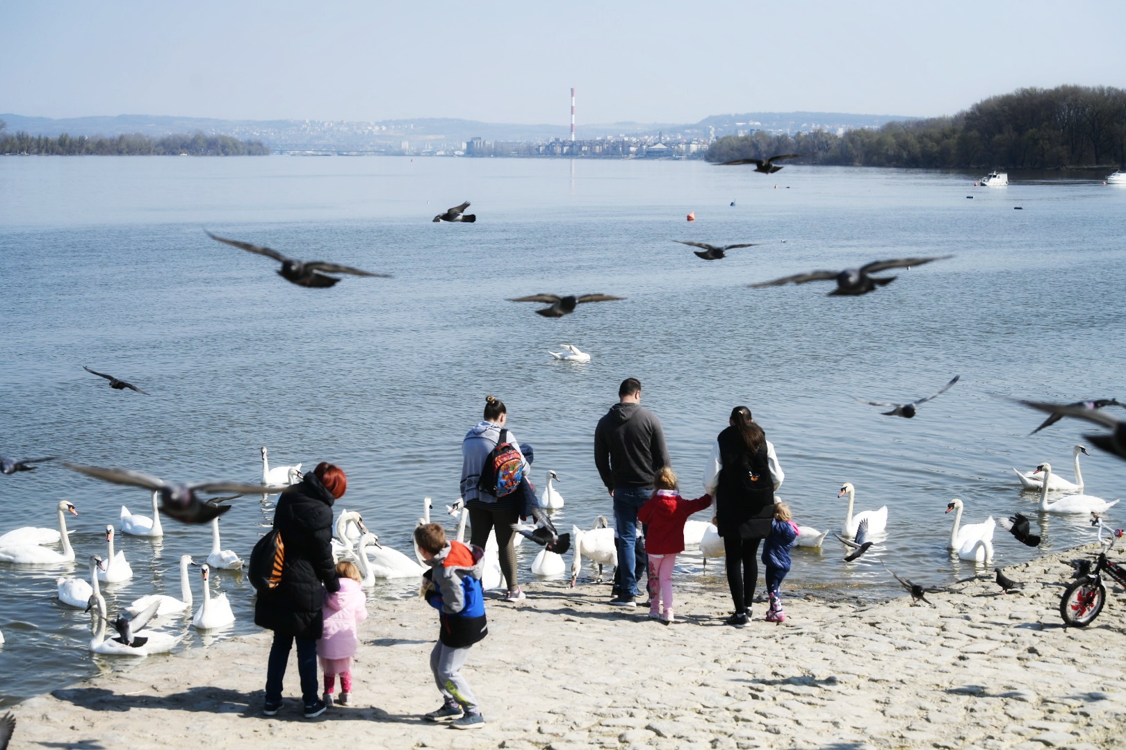26032021
Beograd 26.03.2021. Zemunski kej, Zemun, lepo vreme, proleće, ljudi, ptice Foto: Vesna Lalić/Nova.rs