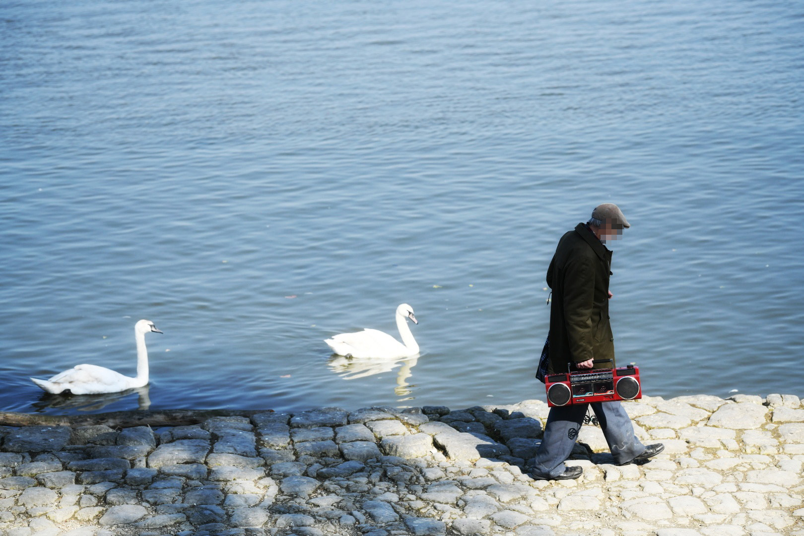 Beograd 26.03.2021. Zemunski kej, Zemun, lepo vreme, proleće, ljudi, ptice Foto: Vesna Lalić/Nova.rs najboljefotografije2021