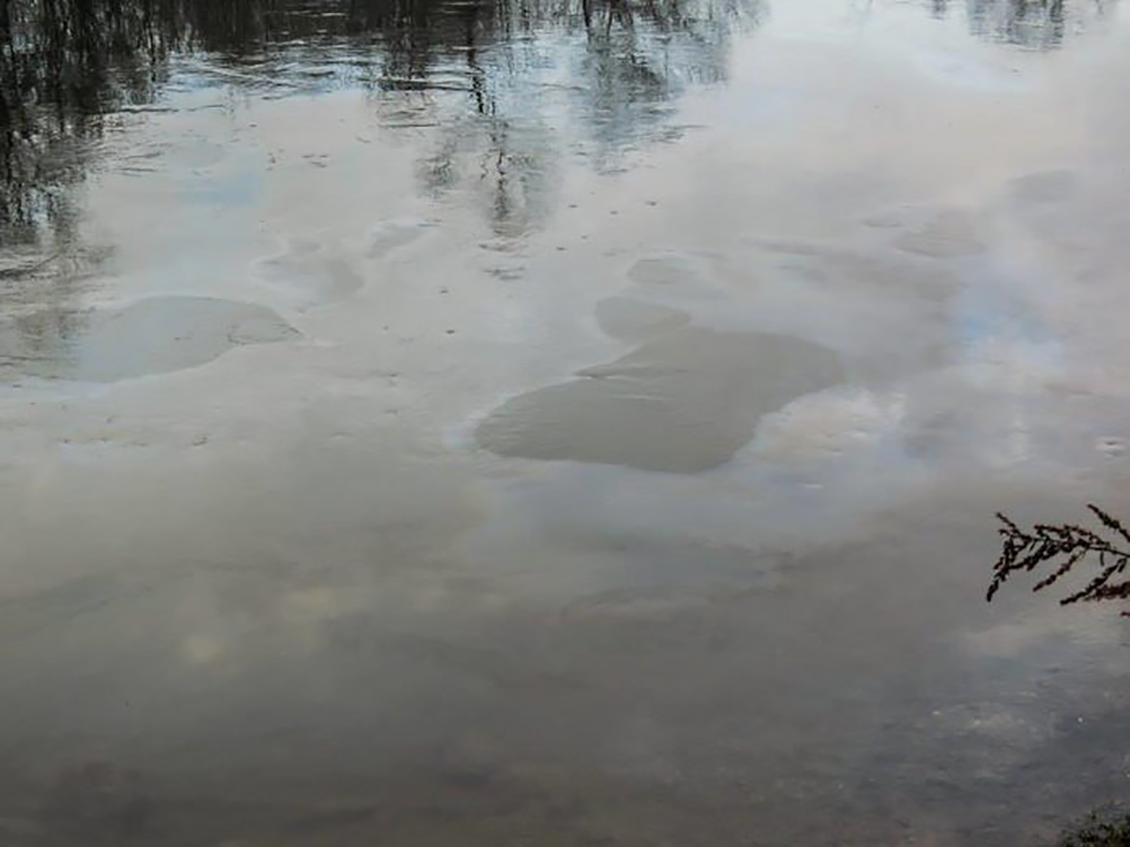 masna mrlja Zapadna Morava