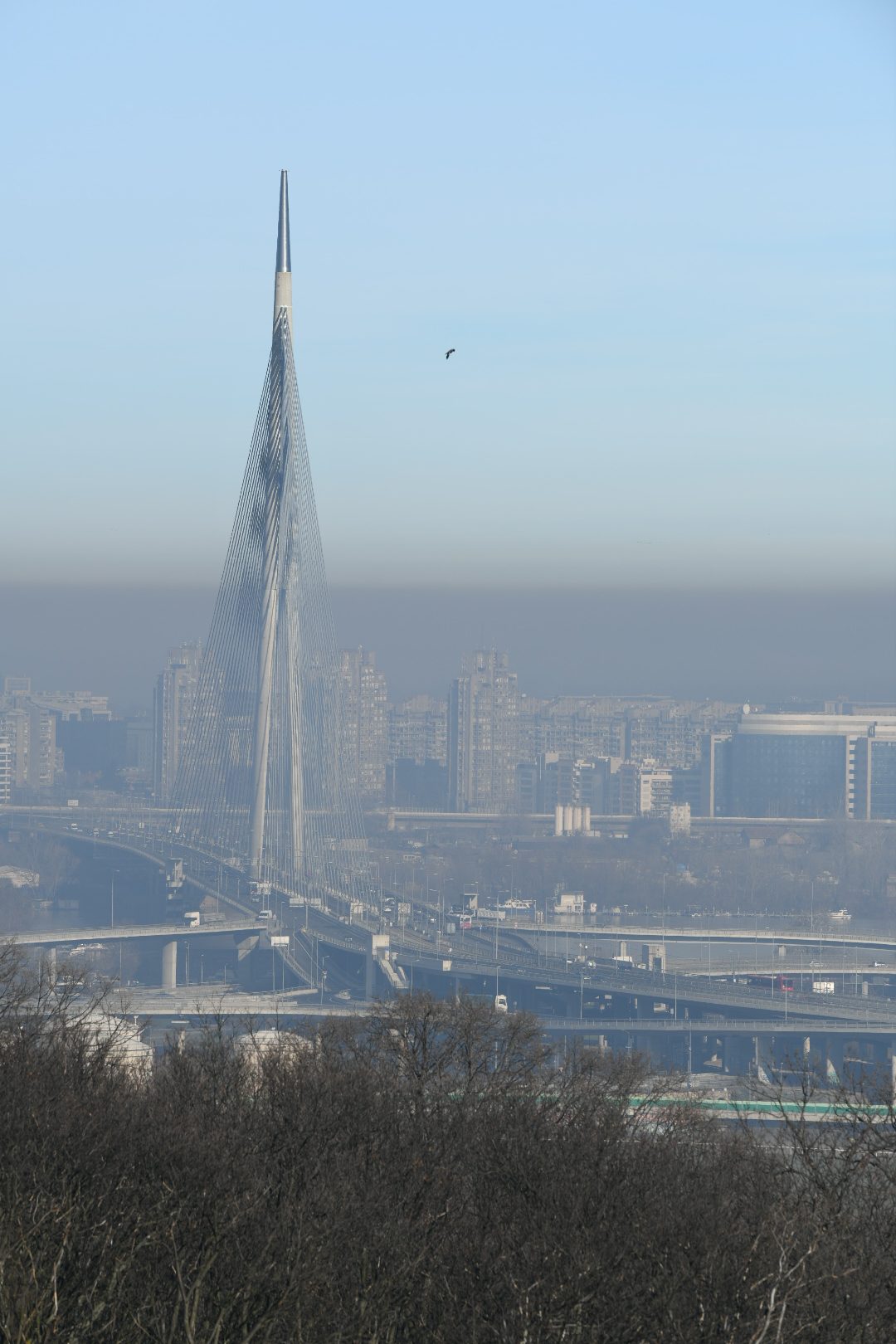 Beograd 03.02.2021. Zagadjenje nad Beogradom, panorama, smog, zagađenje Foto: Vesna Lalić/Nova.rs