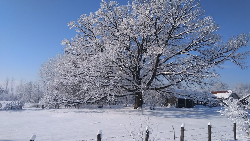 Sneg, selo Obrva, snezne padavine,