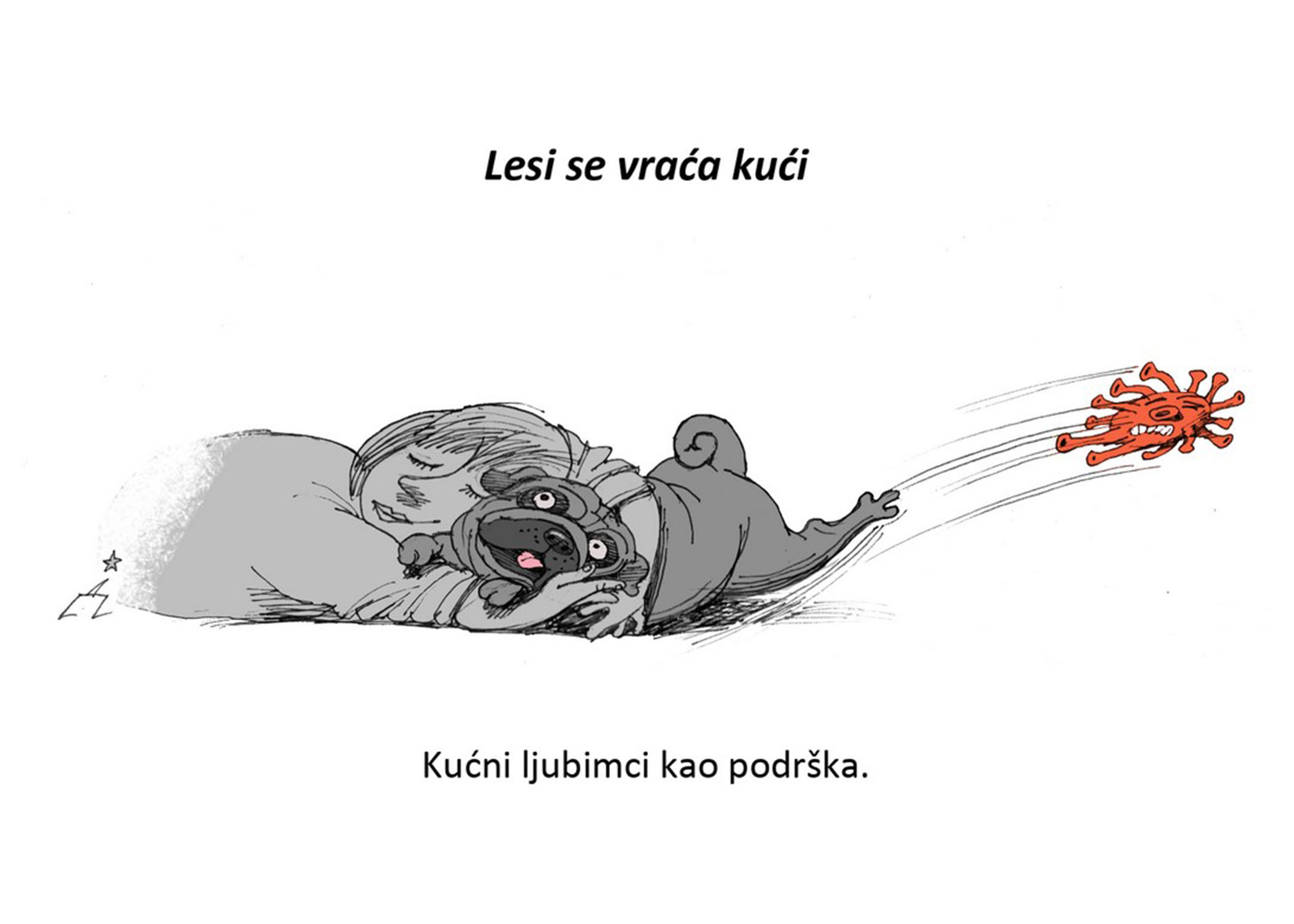 Lesi se vraća kući