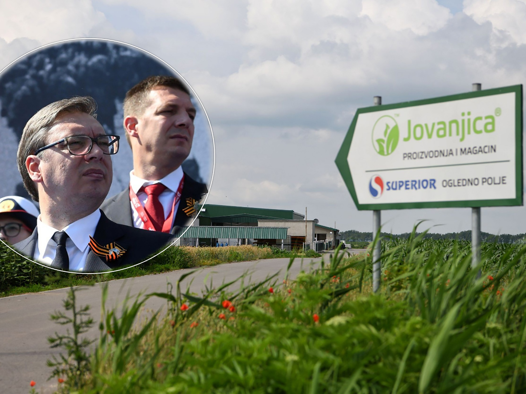 jovanjica i braca vucic
