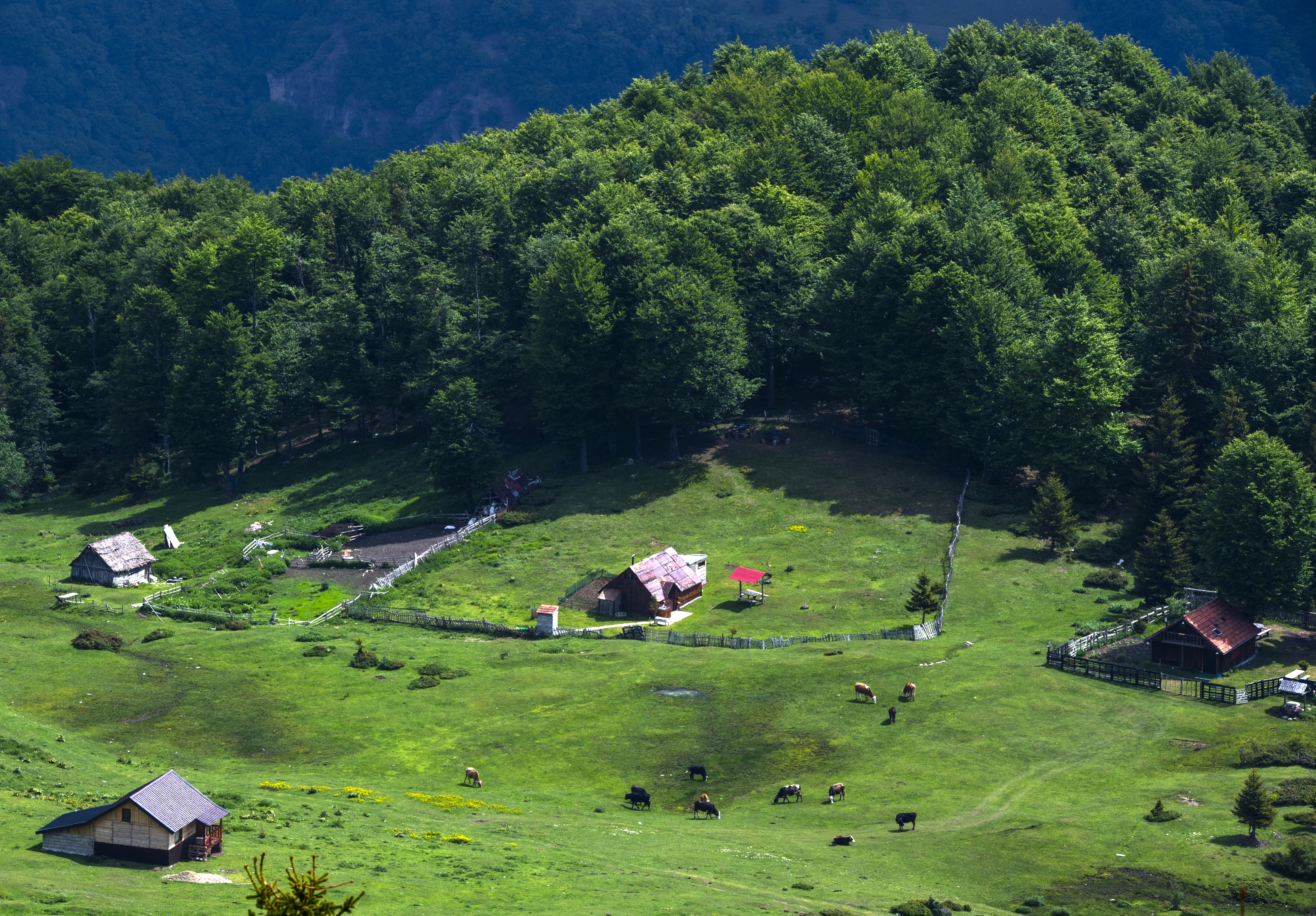 Shar Planina Mountain to be declared national park