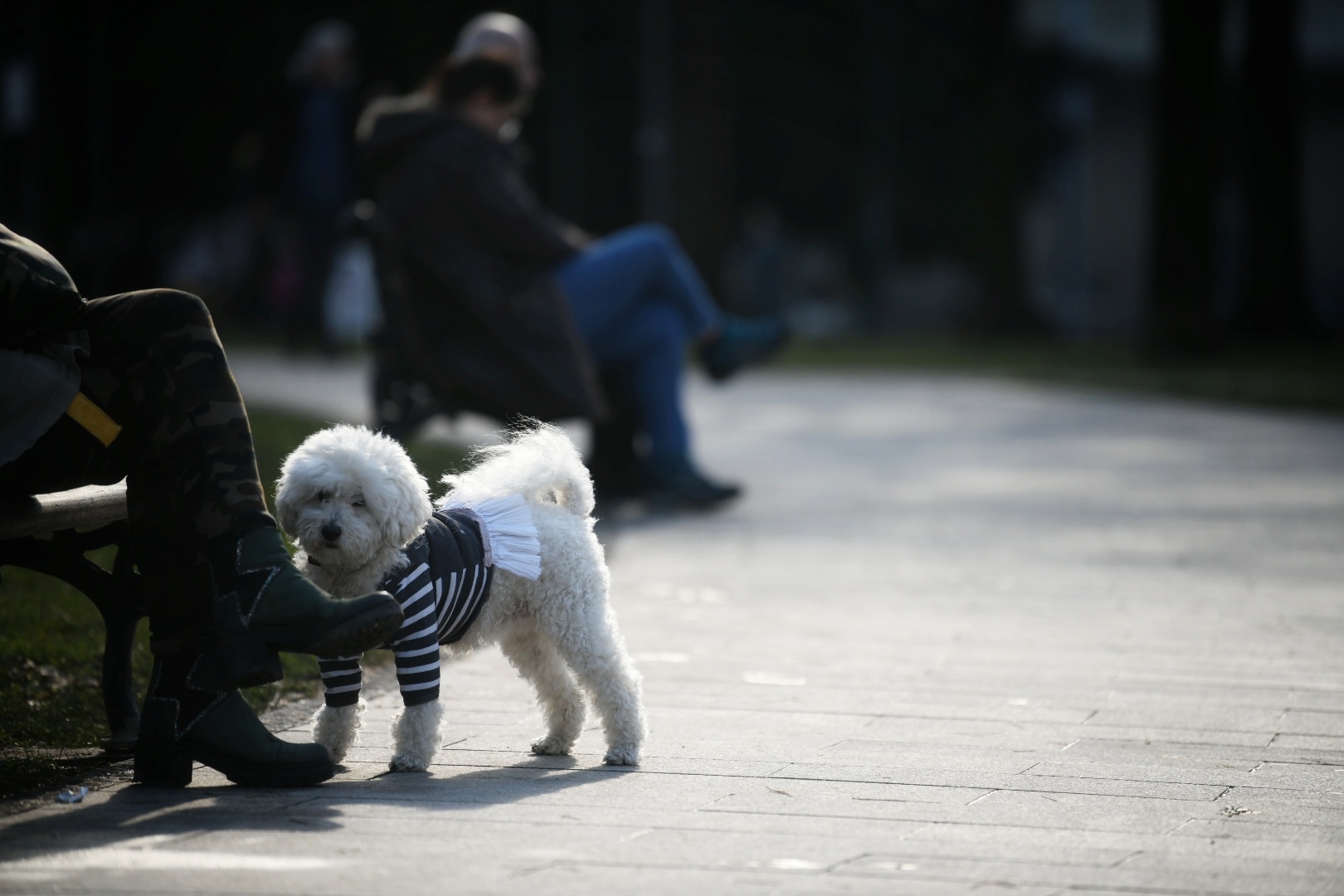 30.01.2021 beograd lepo vreme
