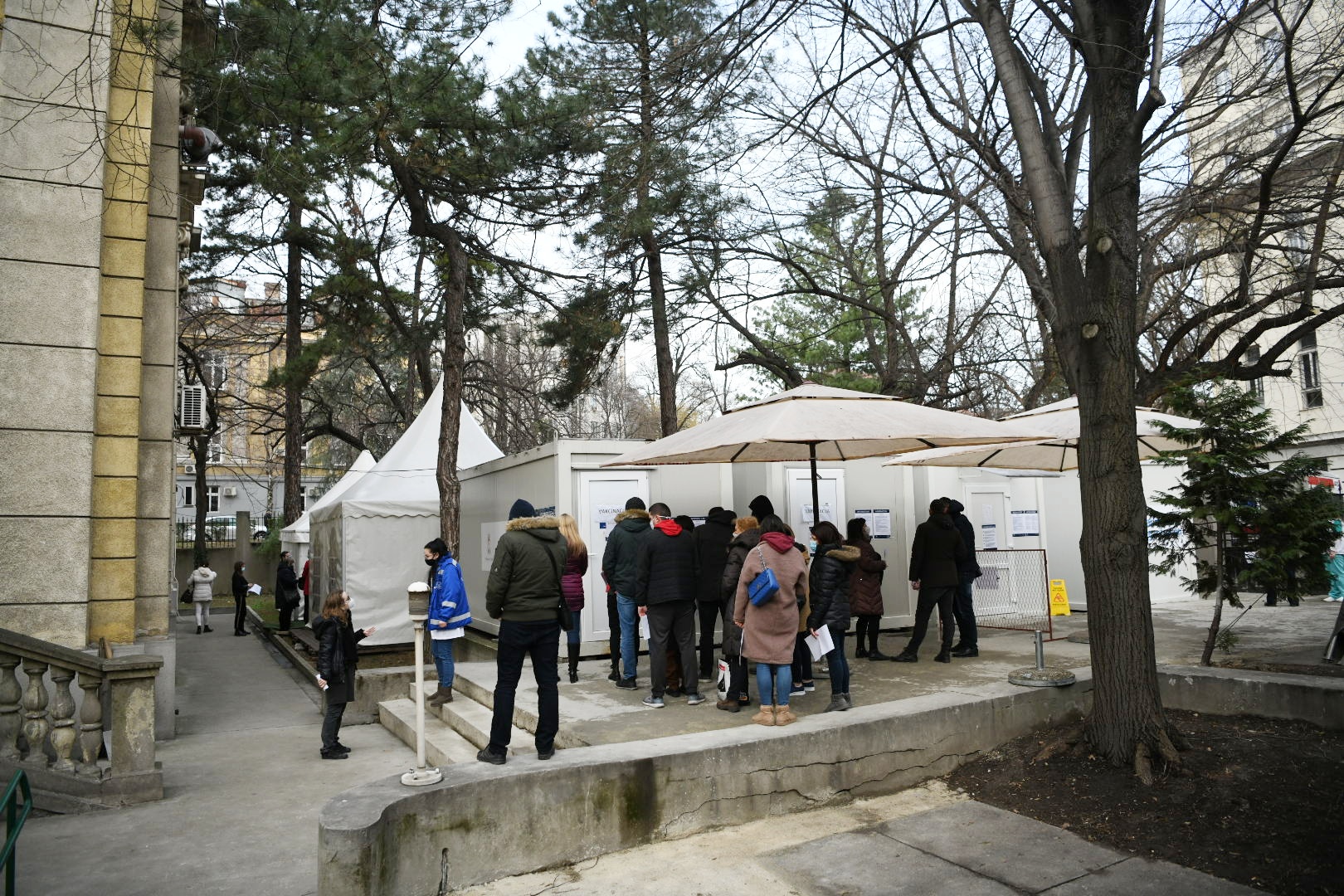 Batut institut vakcinisanje  Foto:Vesna Lalić/Nova.rs