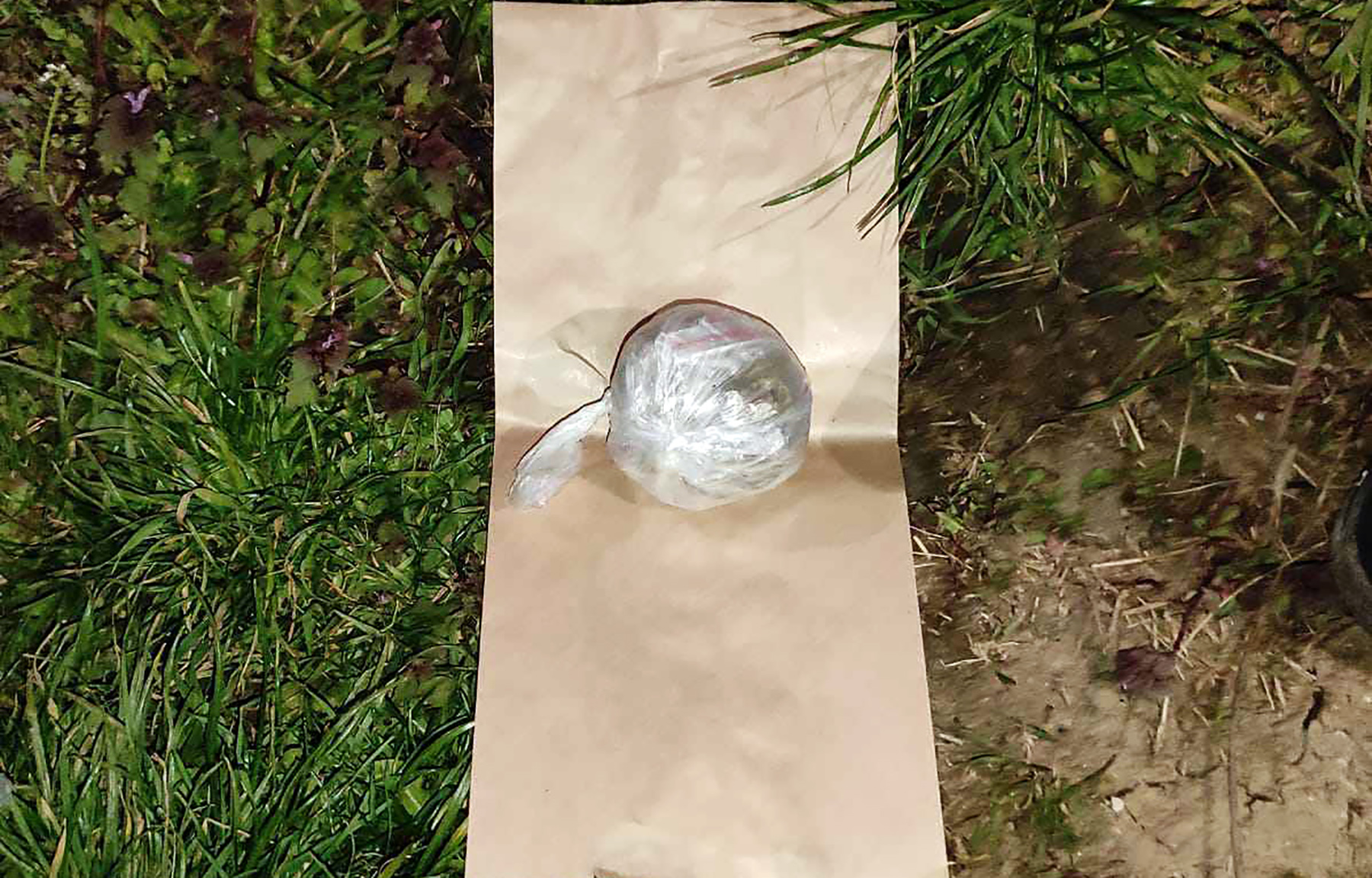 Hapsenje zaplene droga