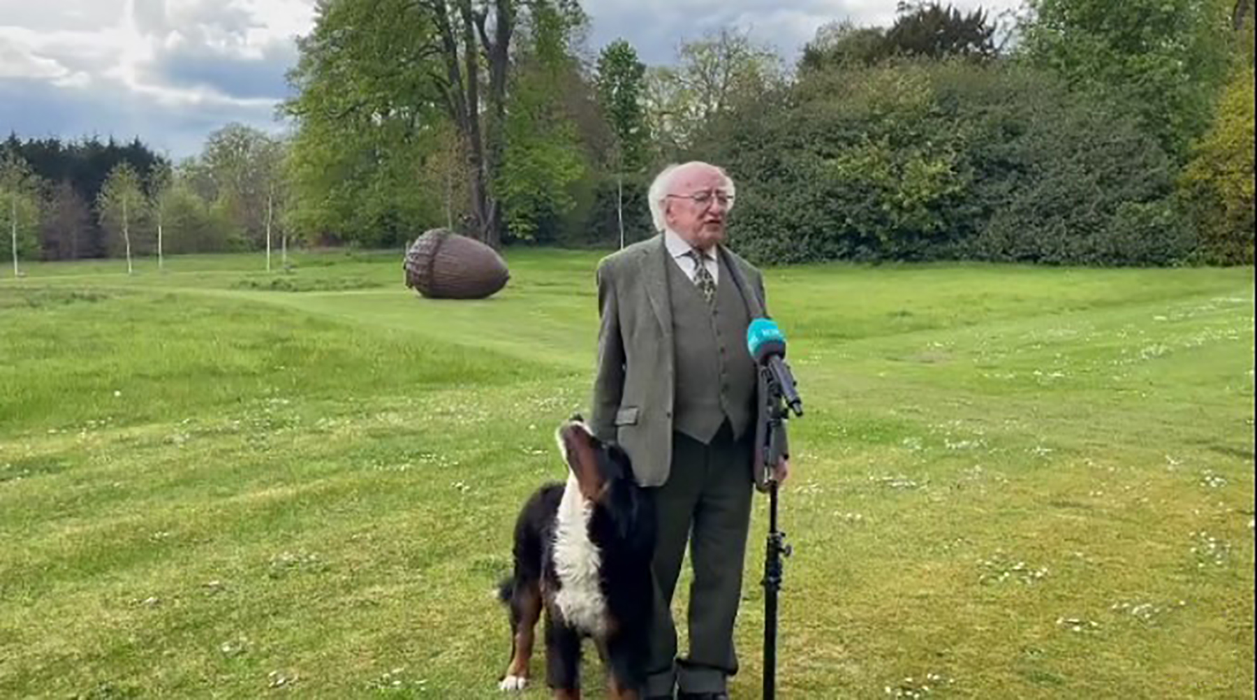 Michael D. Higgins pas01 (1)