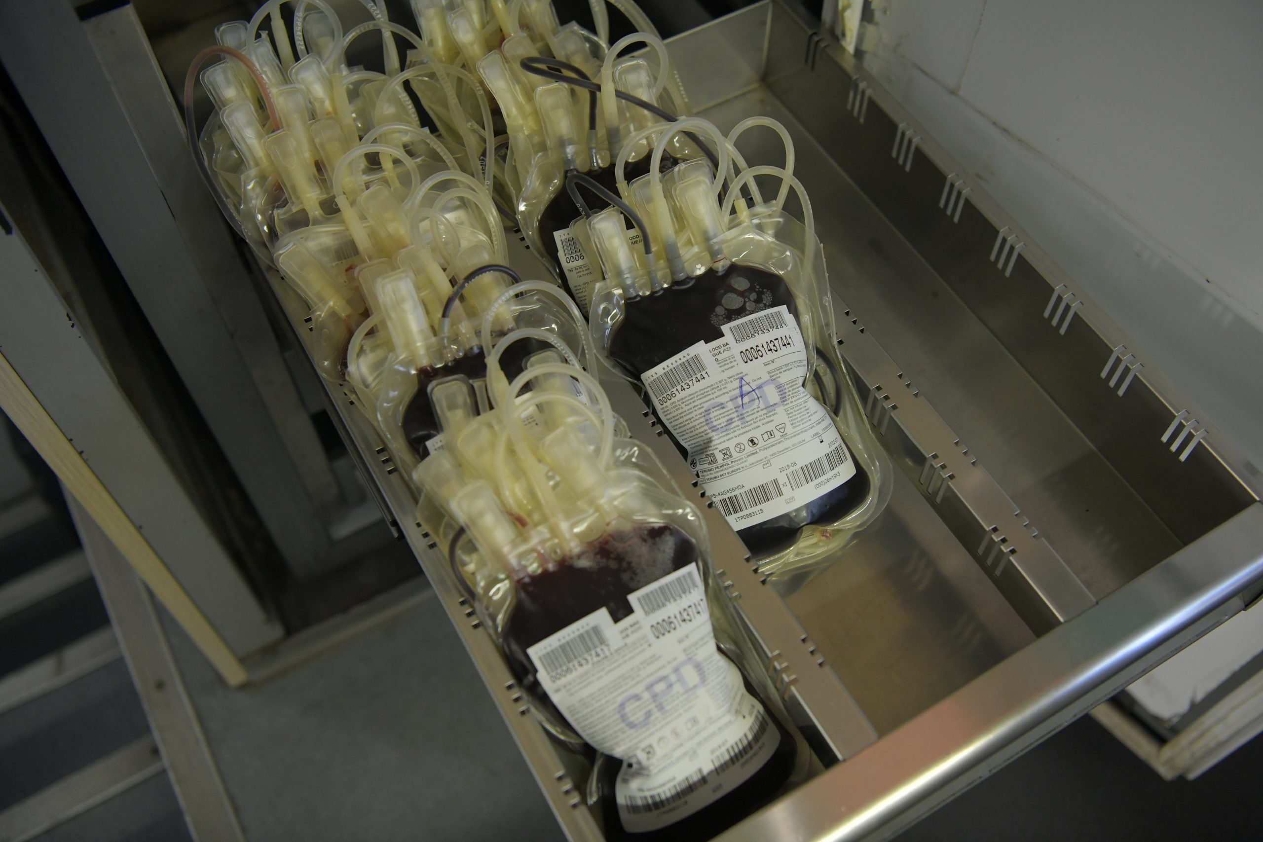 beograd 18.02.2021 dobrovoljno davanje krvi zaposlenih u united medija krv kese