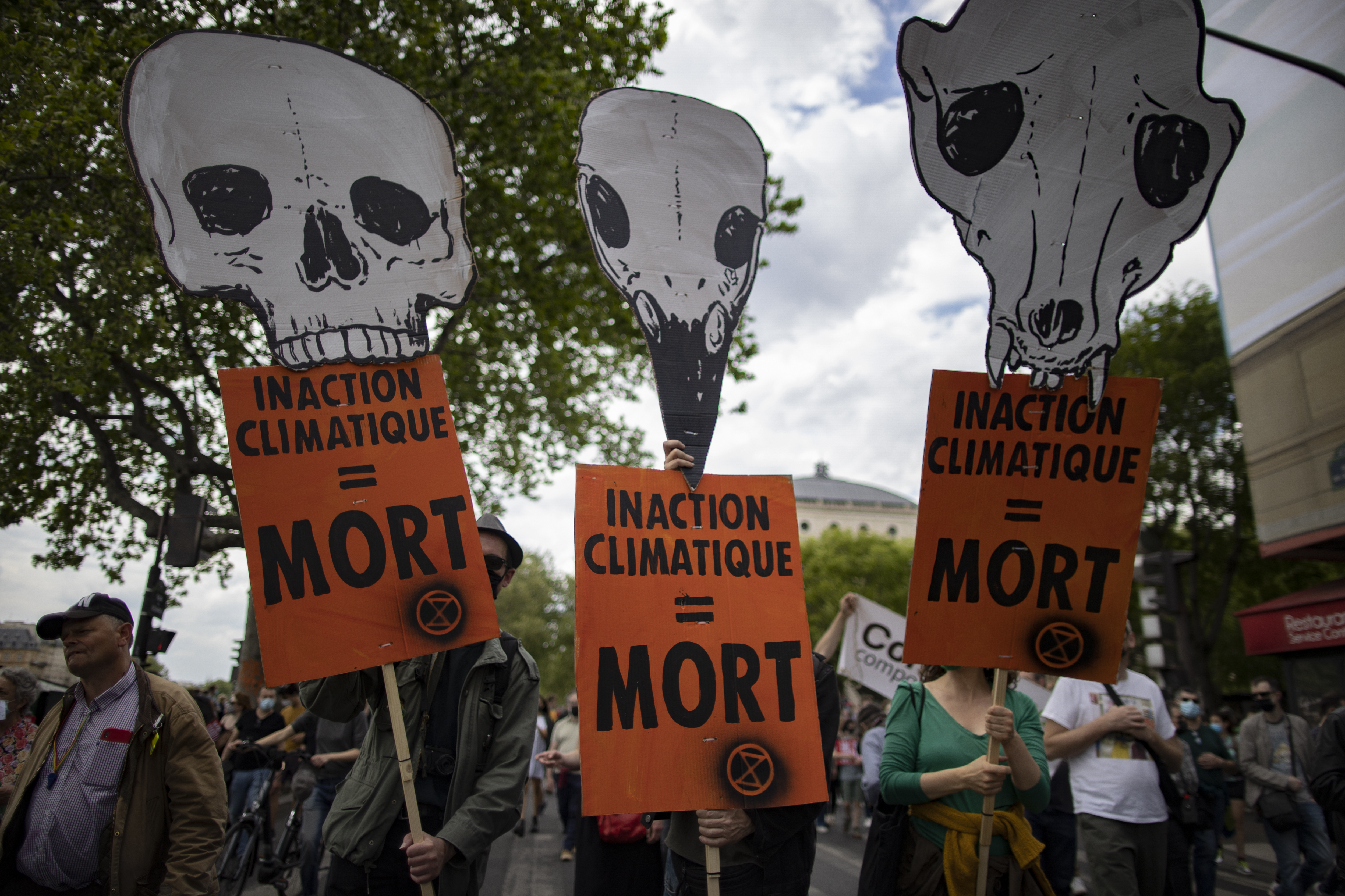Pariz protest klimatske promene, Climate march in Paris