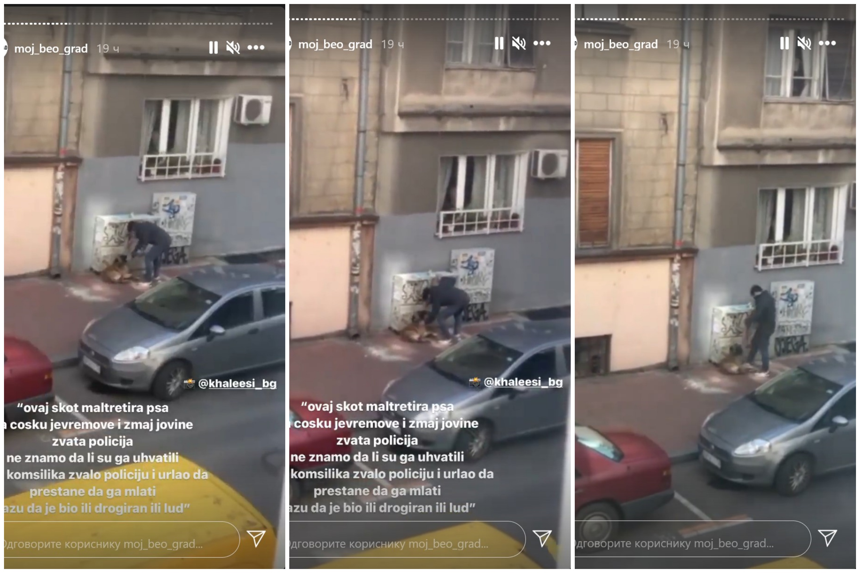 Maltretiranje psa, pas, zlostavljanje životinja Foto: Printscreen/Instagram/@khaleesi_bg/moj_beo_grad