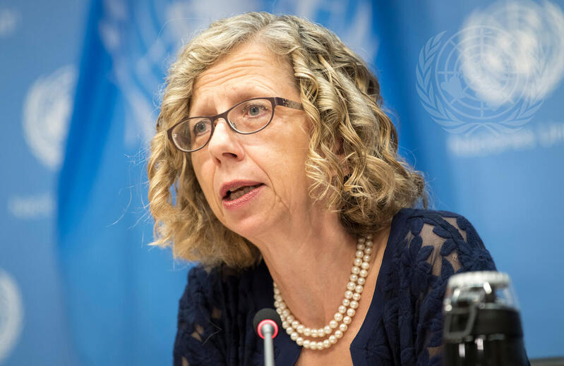Inger Andersen, Executive Director of the United Nations Environment Programme (UNEP), briefs reporters on ""Biodiversity and Nature-based Solutions for Climate Action"" as a guest at the noon briefing.
