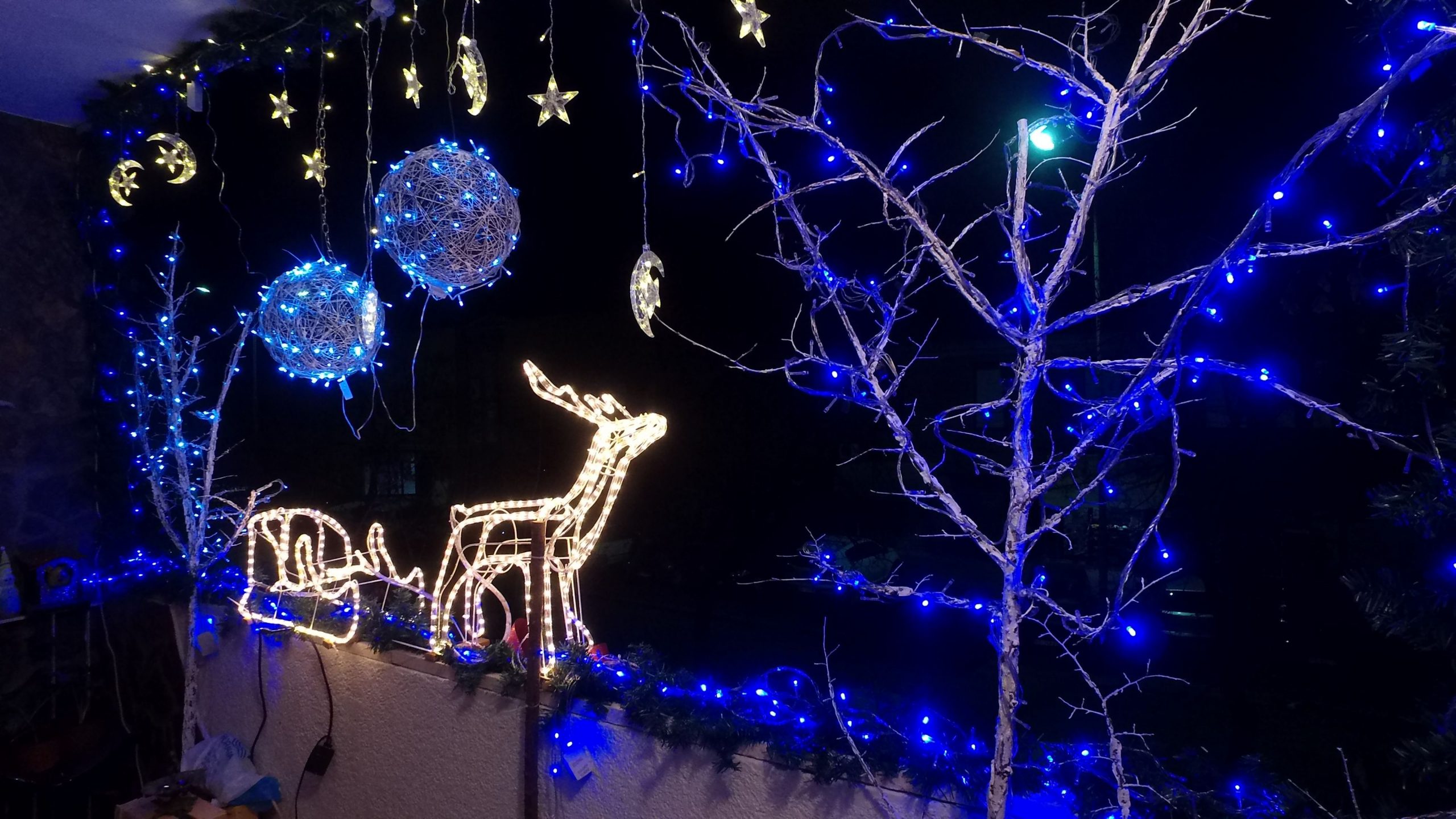 kragujevac  Fotograf ukrasio terasu