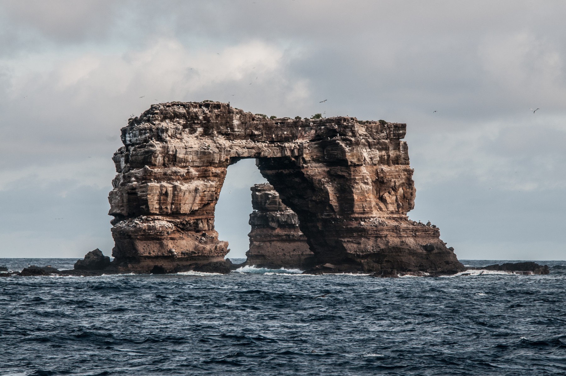 Darwin's arch, Darwin Island, Seymour, Galapagos, Ecuador, South America
