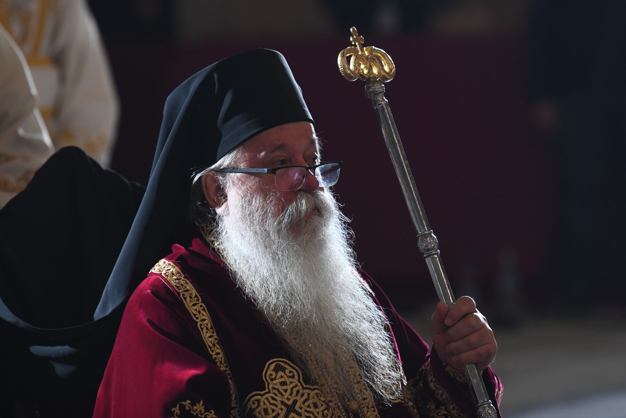 Vladika Hrizostom