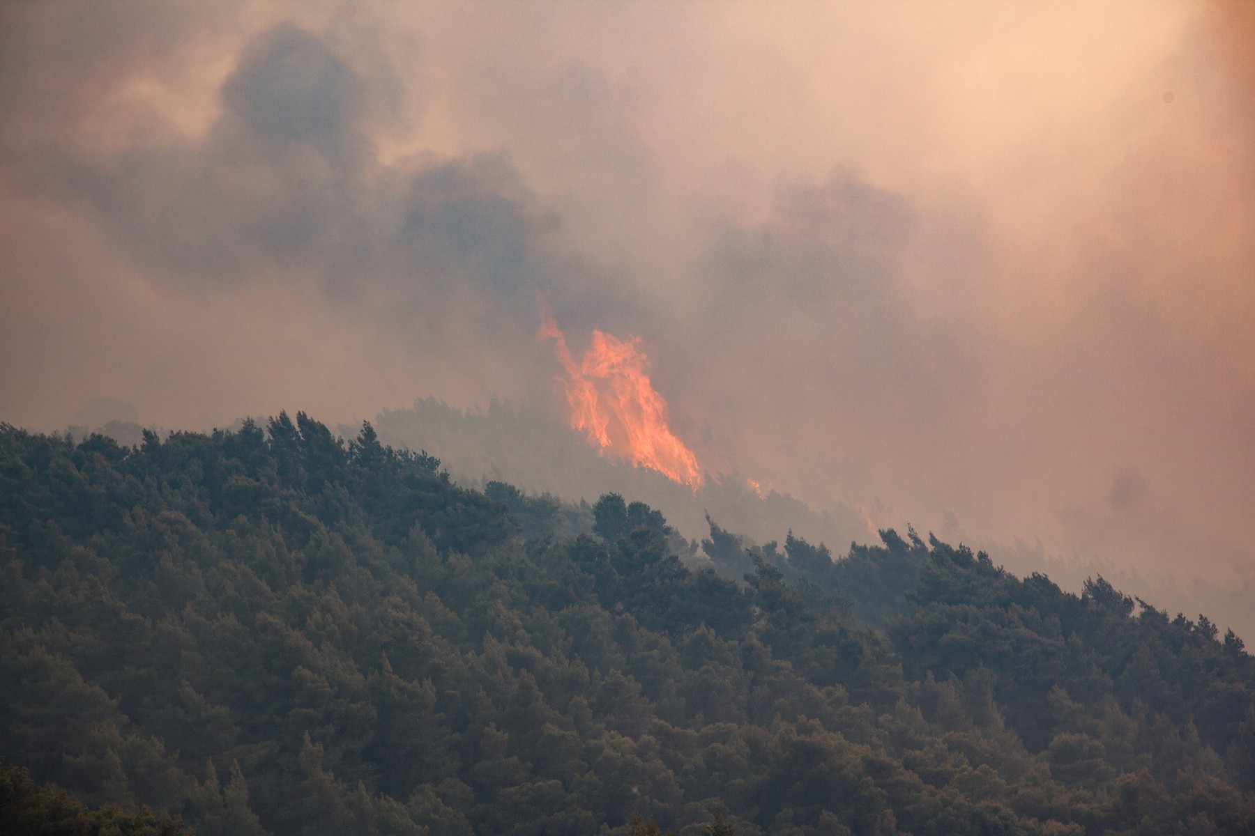 Wildfire in Greece - 20 May 2021