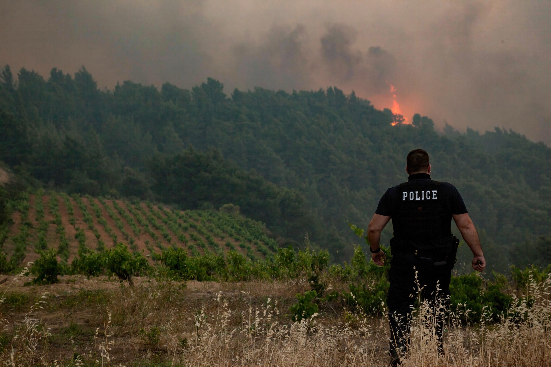 Wildfire In Attica Region Of Greece