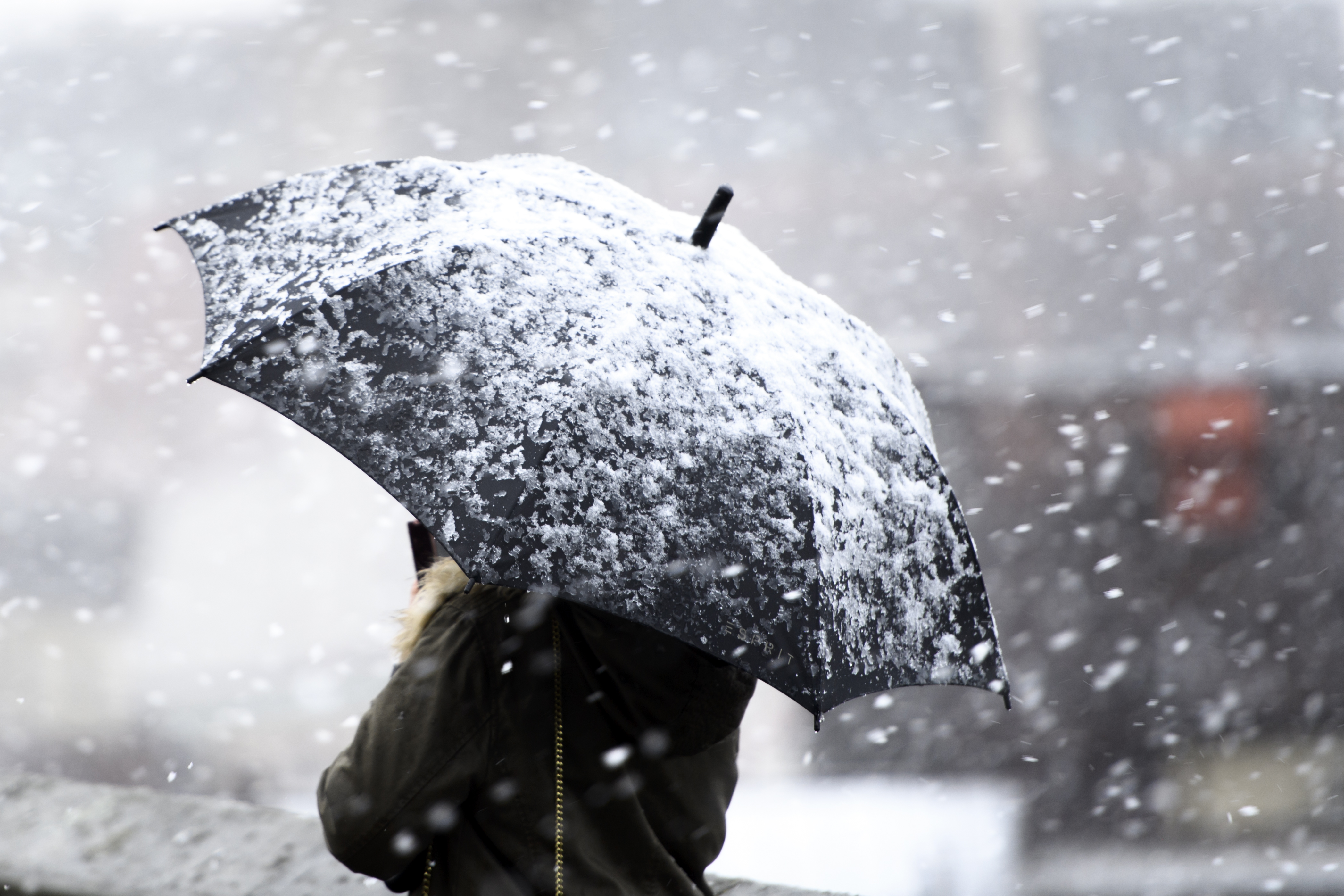 Sneg za Ivanu
epa08192052 A person with  a snow covered umbrella during snowfalls in Laus  ae, 04 February 2020. Winter storm Petra reached Switzerl ad last night.  EPA-EFE/LAURENT GILLIERON