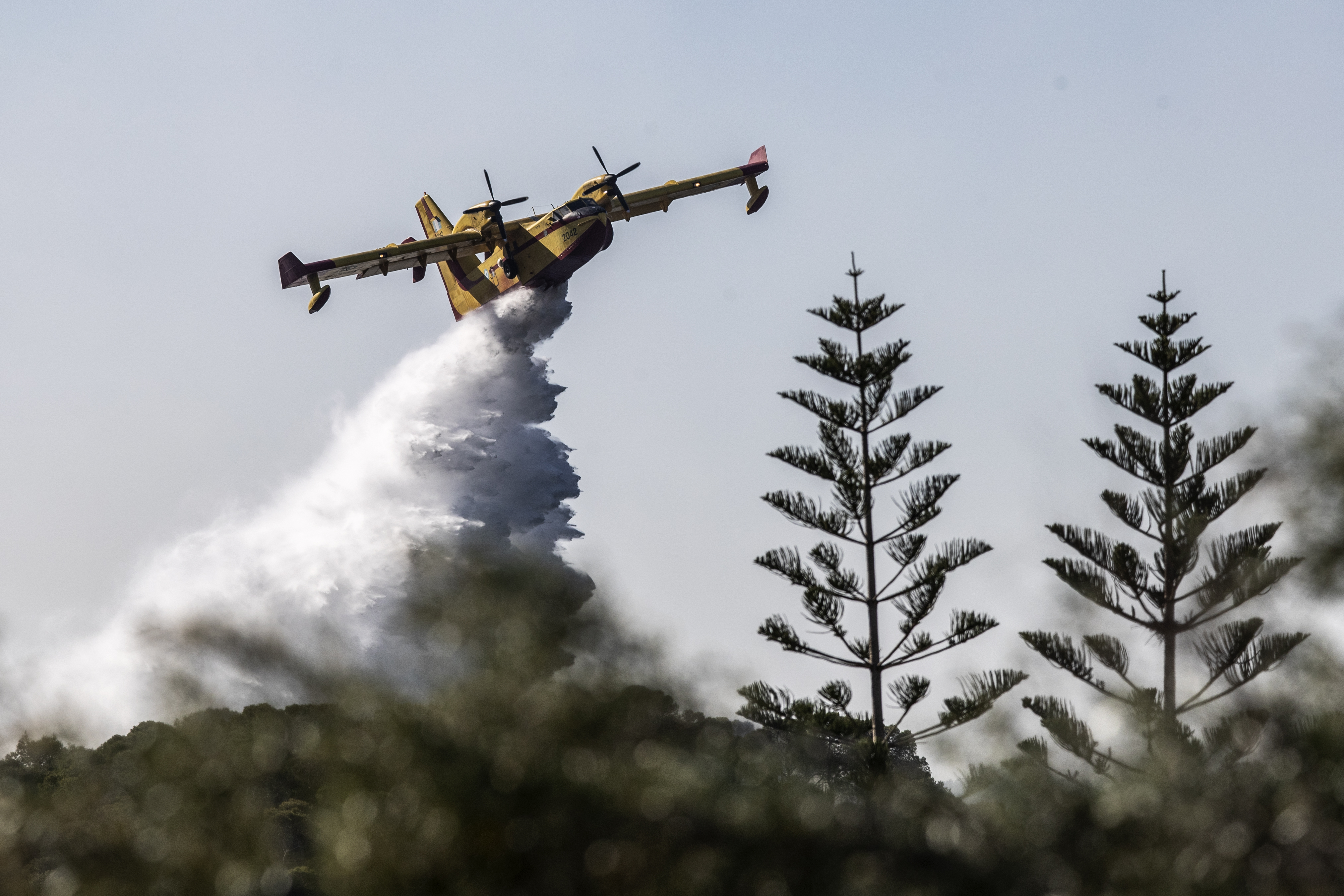 Greece Wildfire