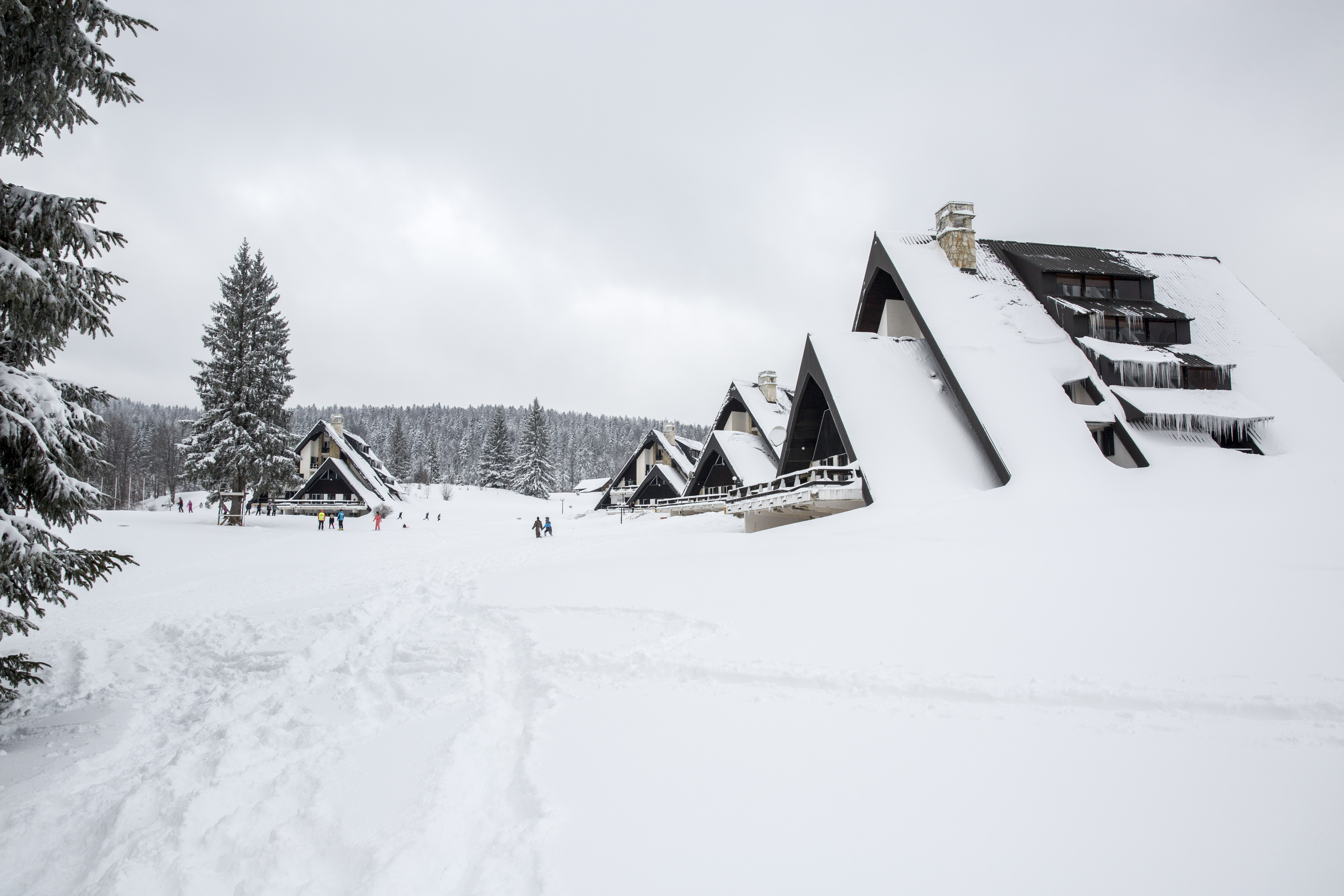 Planina Tara sneg zima Foto:Goran Srdanov/Nova.rs
